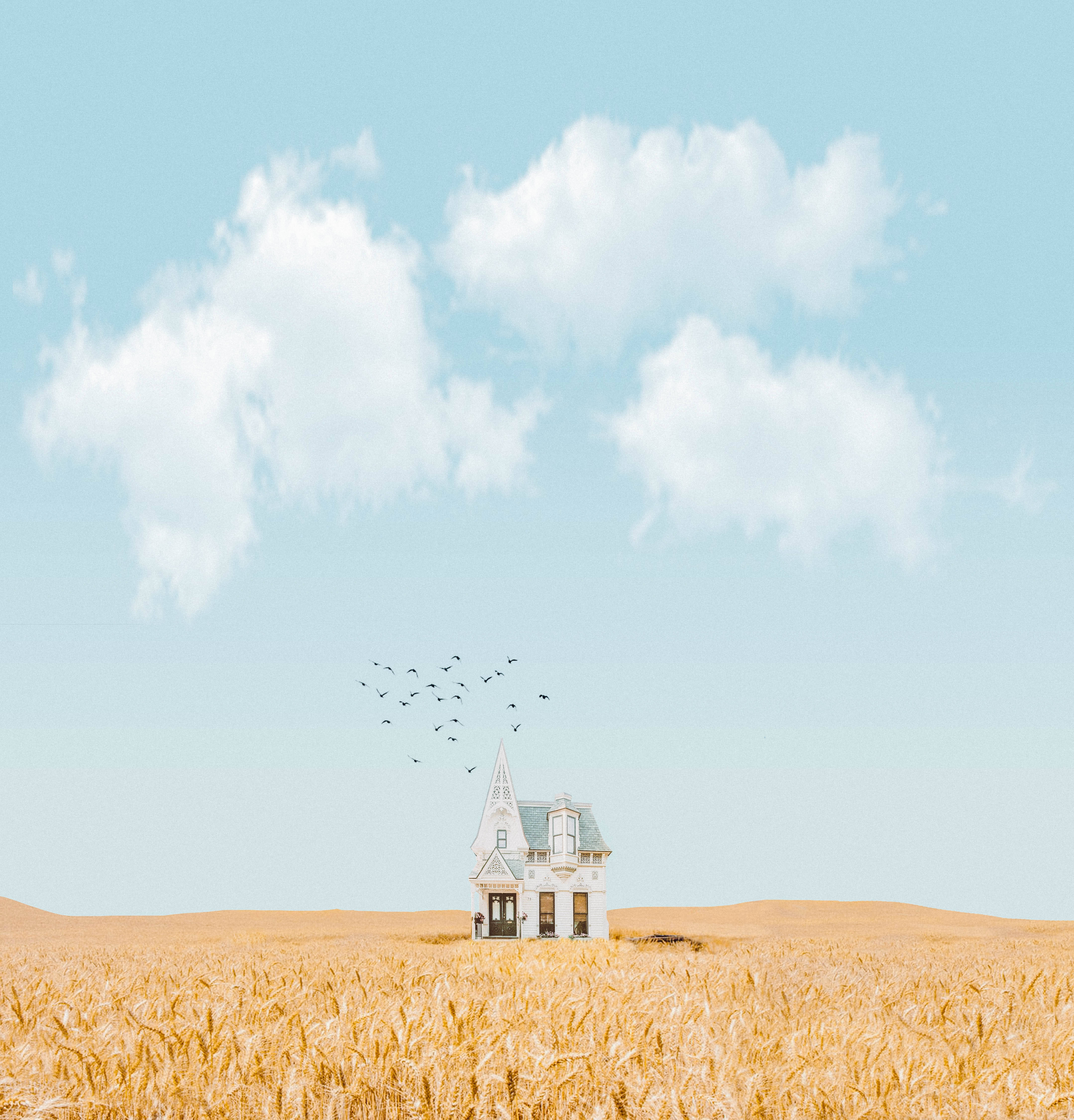 white Victorian house, golden wheat field, pale blue sky, 4K Phone Wallpaper