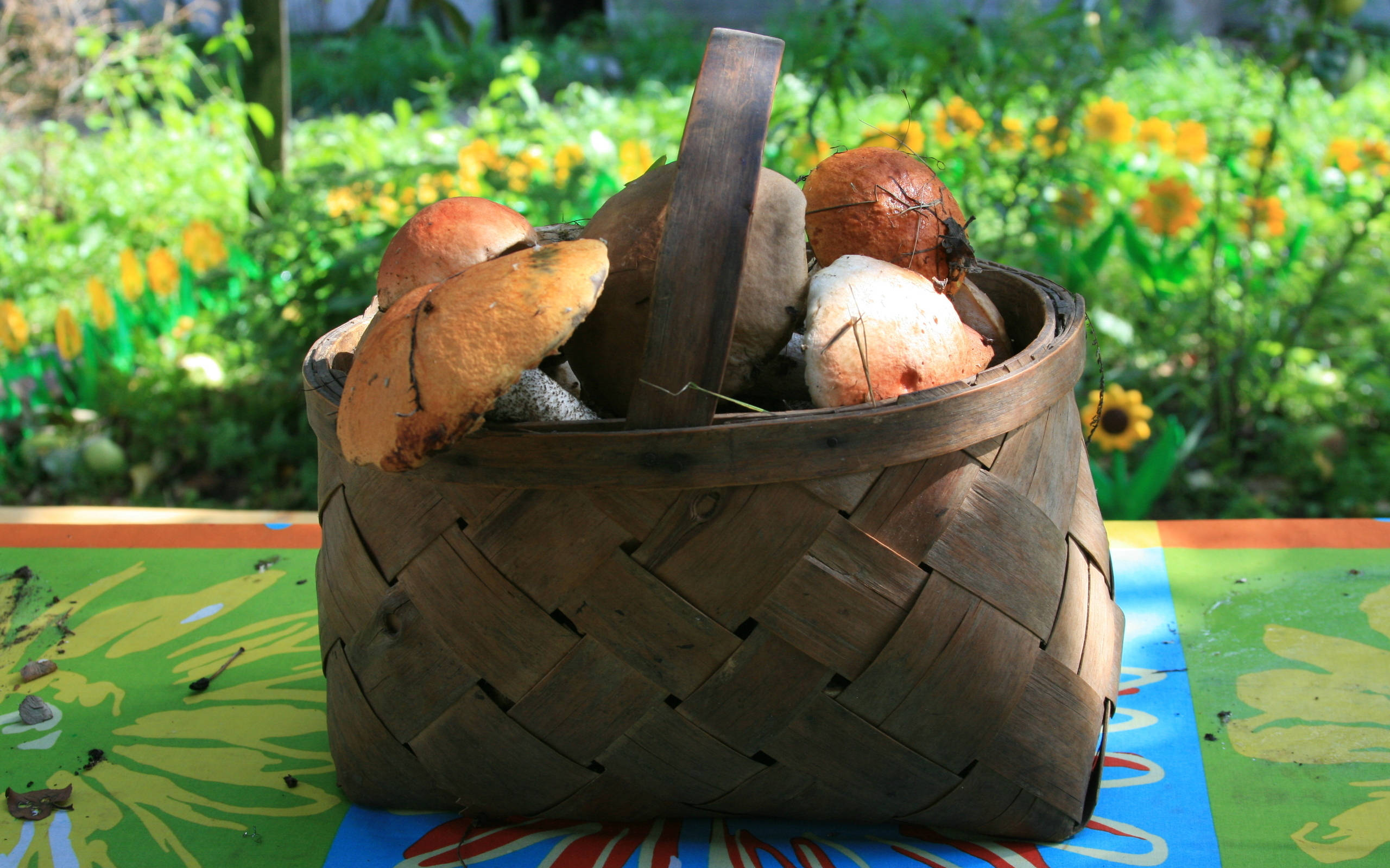 rustic woven basket, freshly foraged mushrooms, colorful painted table, 2K Desktop Wallpaper