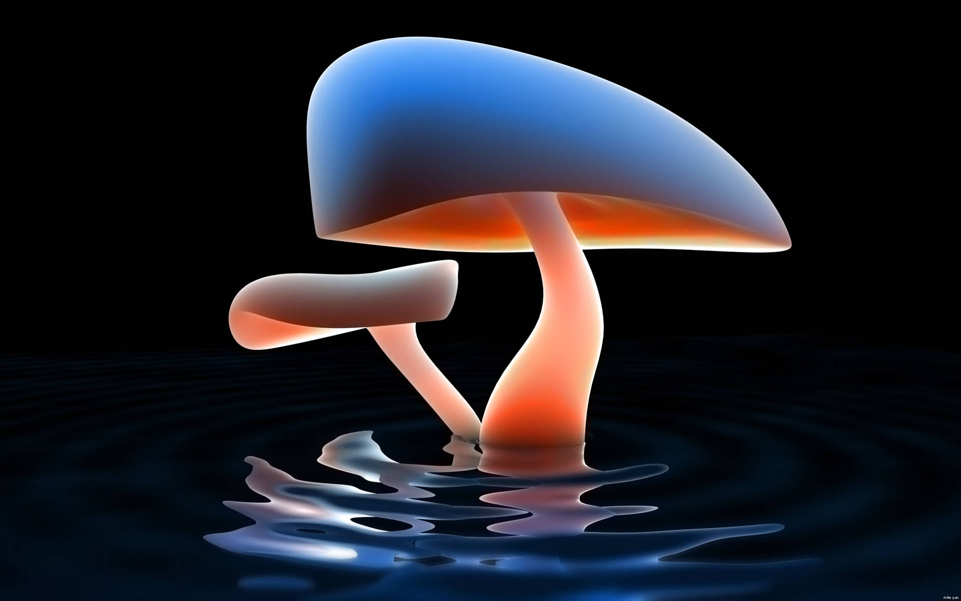 glowing blue, orange mushroom, dark water, Full HD Desktop Wallpaper