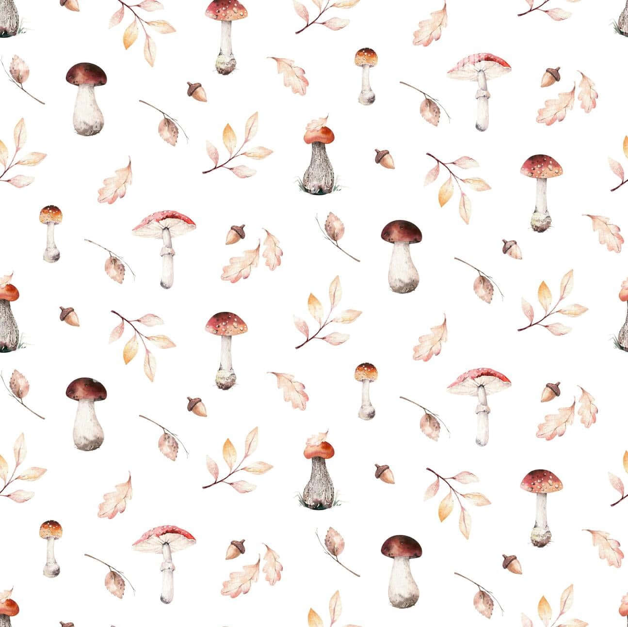 vintage cute mushroom aesthetic, white background, watercolor mushrooms, HD Desktop Wallpaper