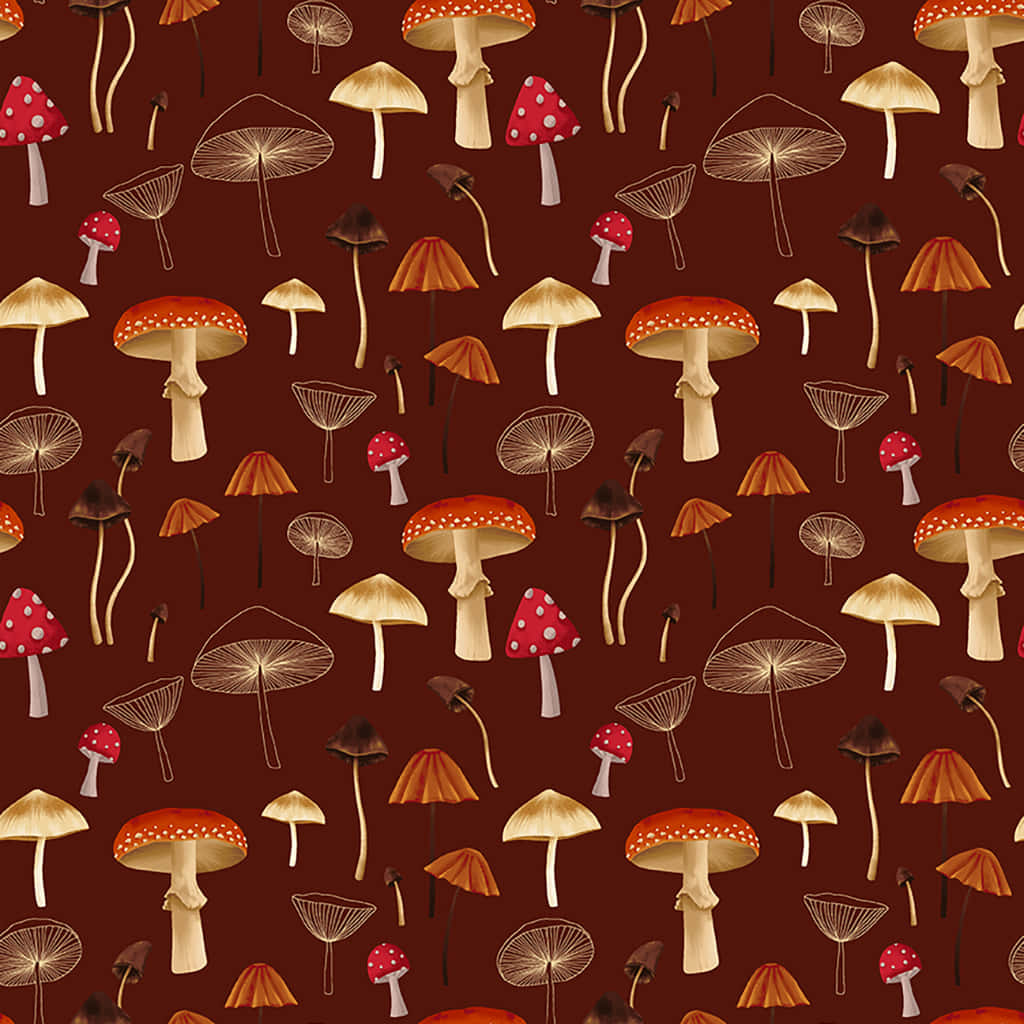 vintage cute mushroom flora, red orange, beige, SD Desktop Wallpaper