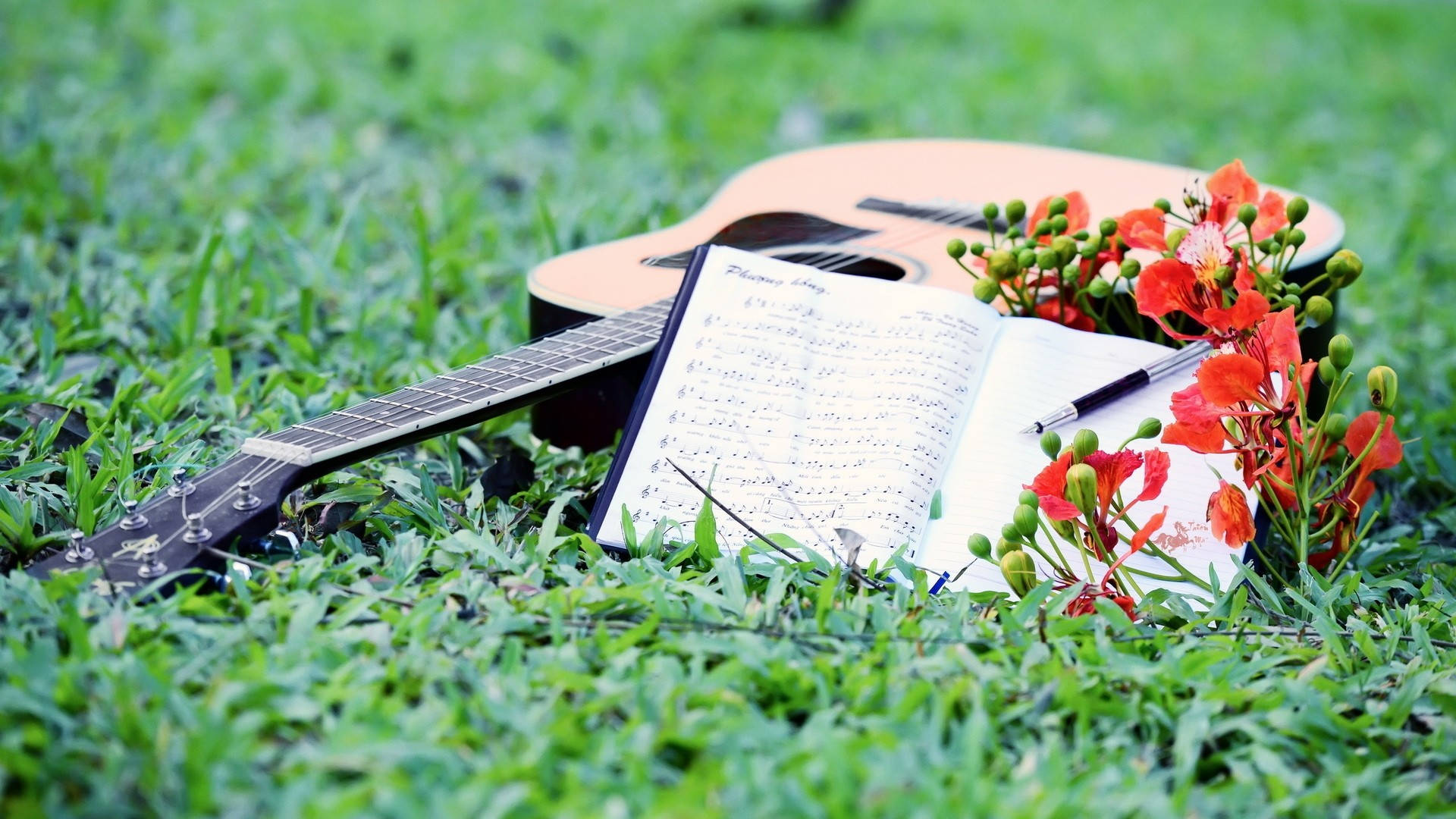 acoustic guitar, vibrant green grass, open music book, Full HD Desktop Wallpaper
