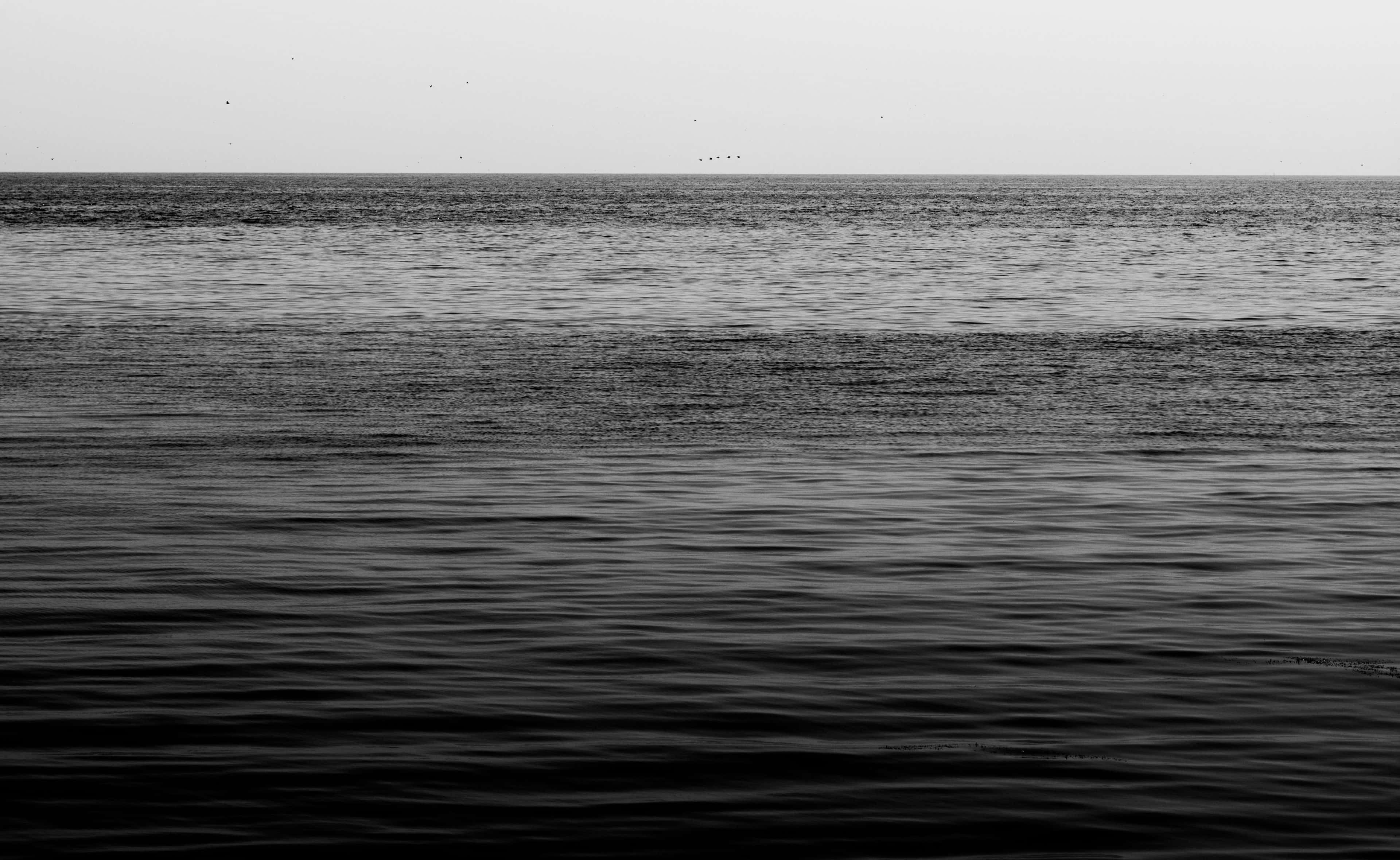 black and white ocean, monochrome seascape, gentle waves, 4K Desktop Wallpaper