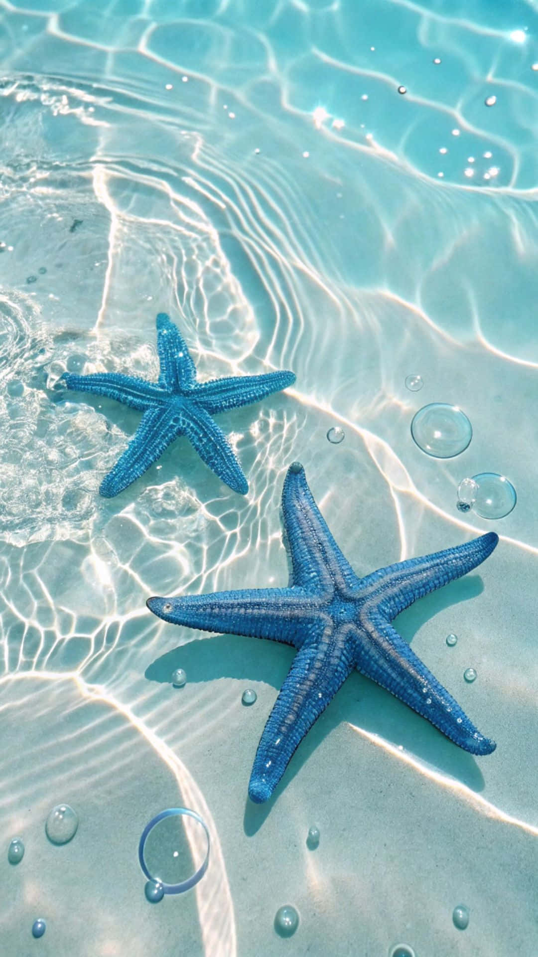 cute blue starfish, sunlit sandy ocean floor, rippling turquoise water, Full HD Phone Wallpaper