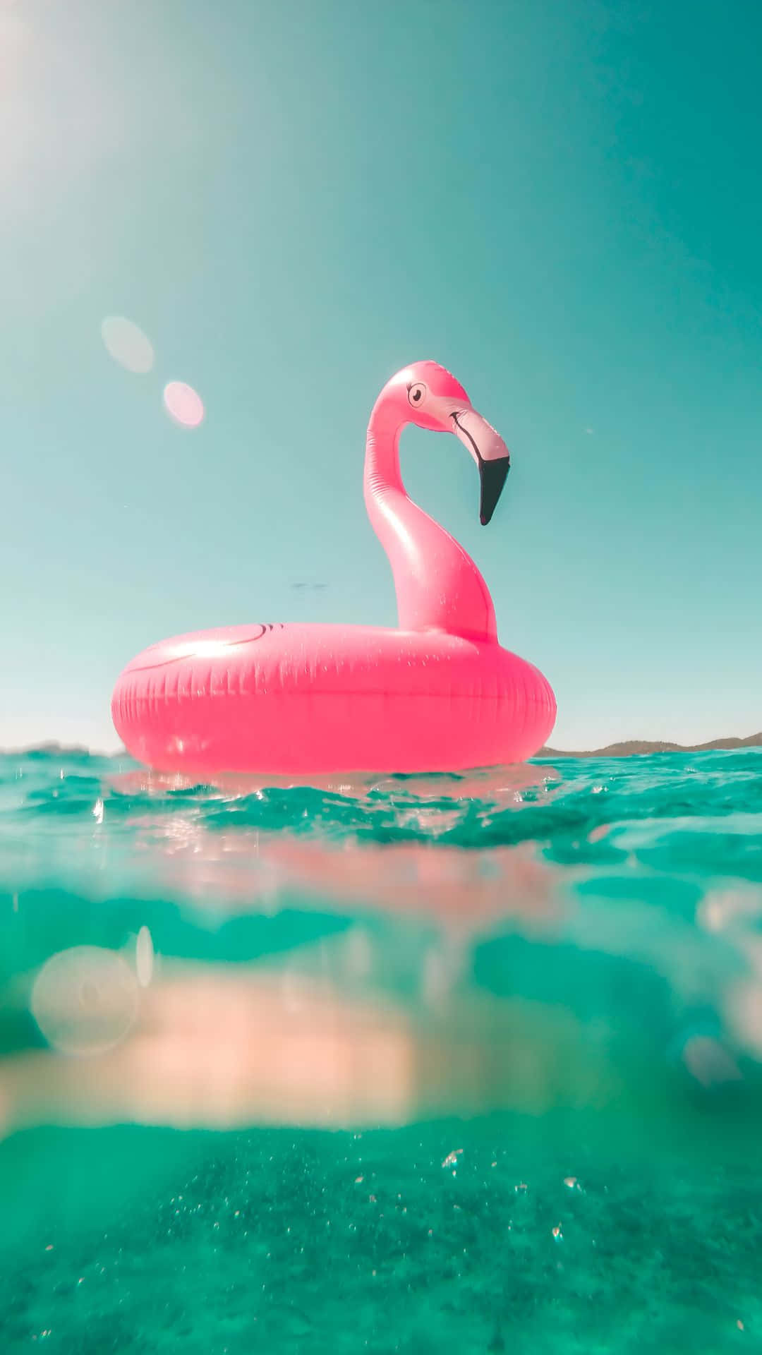 pink flamingo pool float, turquoise water, clear sky, Full HD Phone Wallpaper
