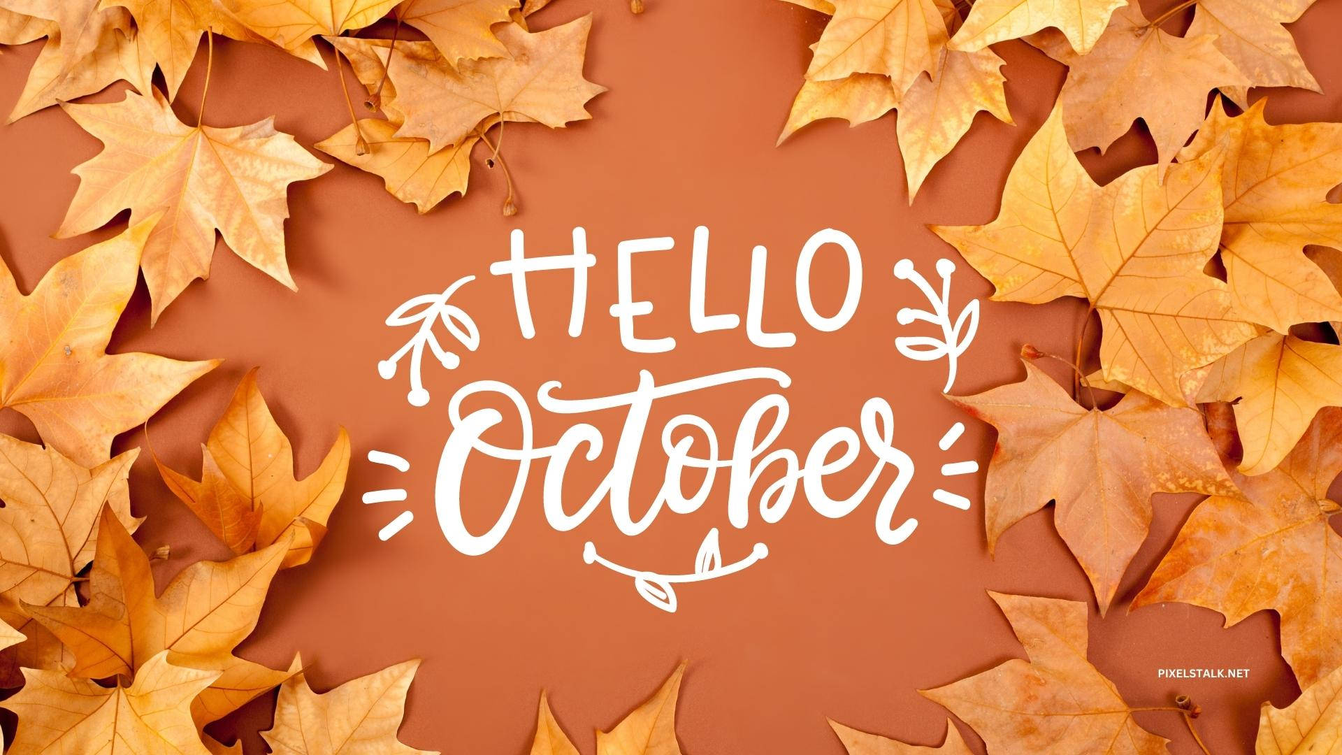 Hello October, golden maple leaves, white script, Full HD Desktop Wallpaper