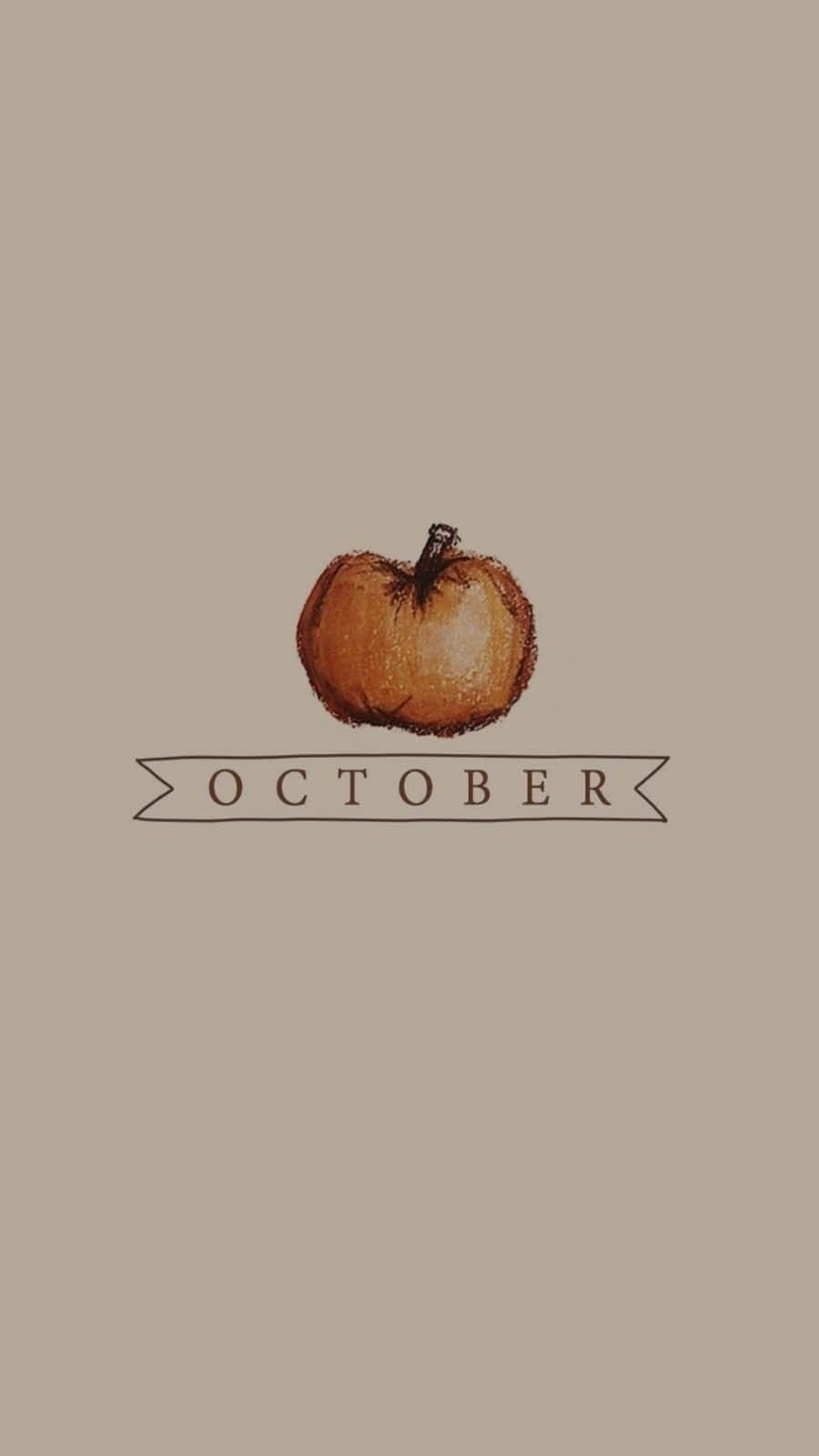 pumpkin, October, muted beige background, HD Phone Wallpaper