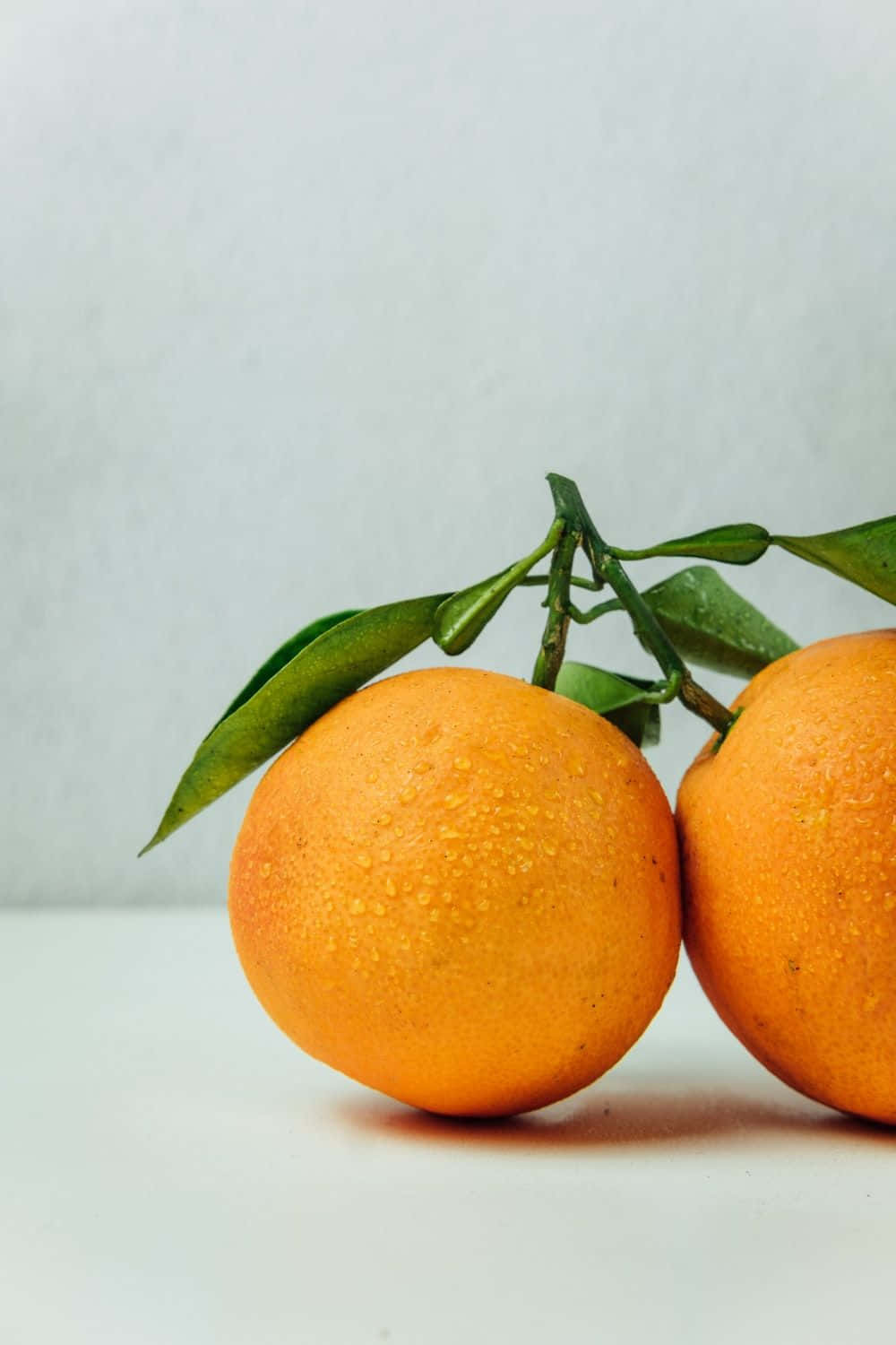 orange, dew drops, green leaves, HD Phone Wallpaper