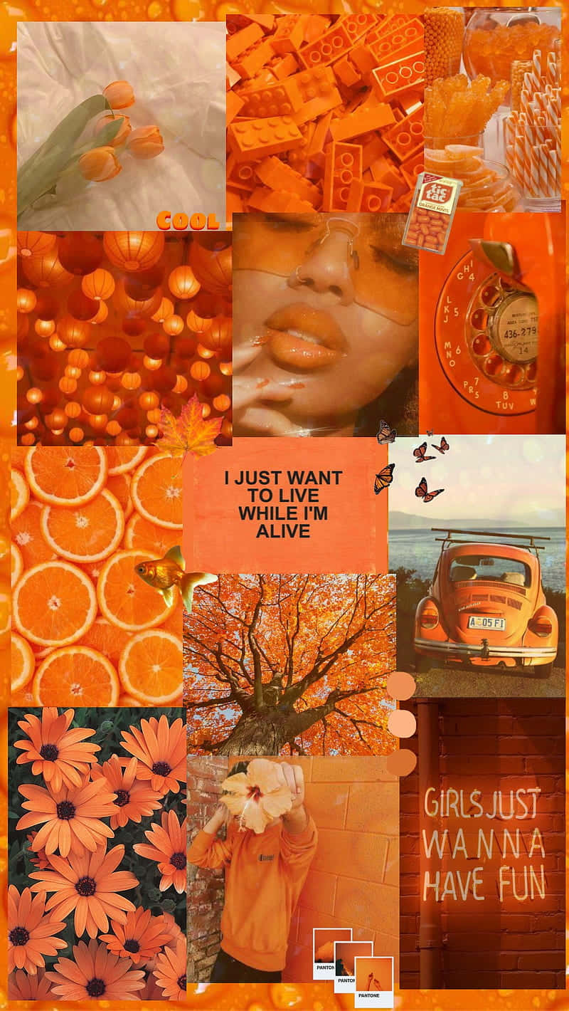 orange aesthetic phone, tulips, legos, HD Phone Wallpaper