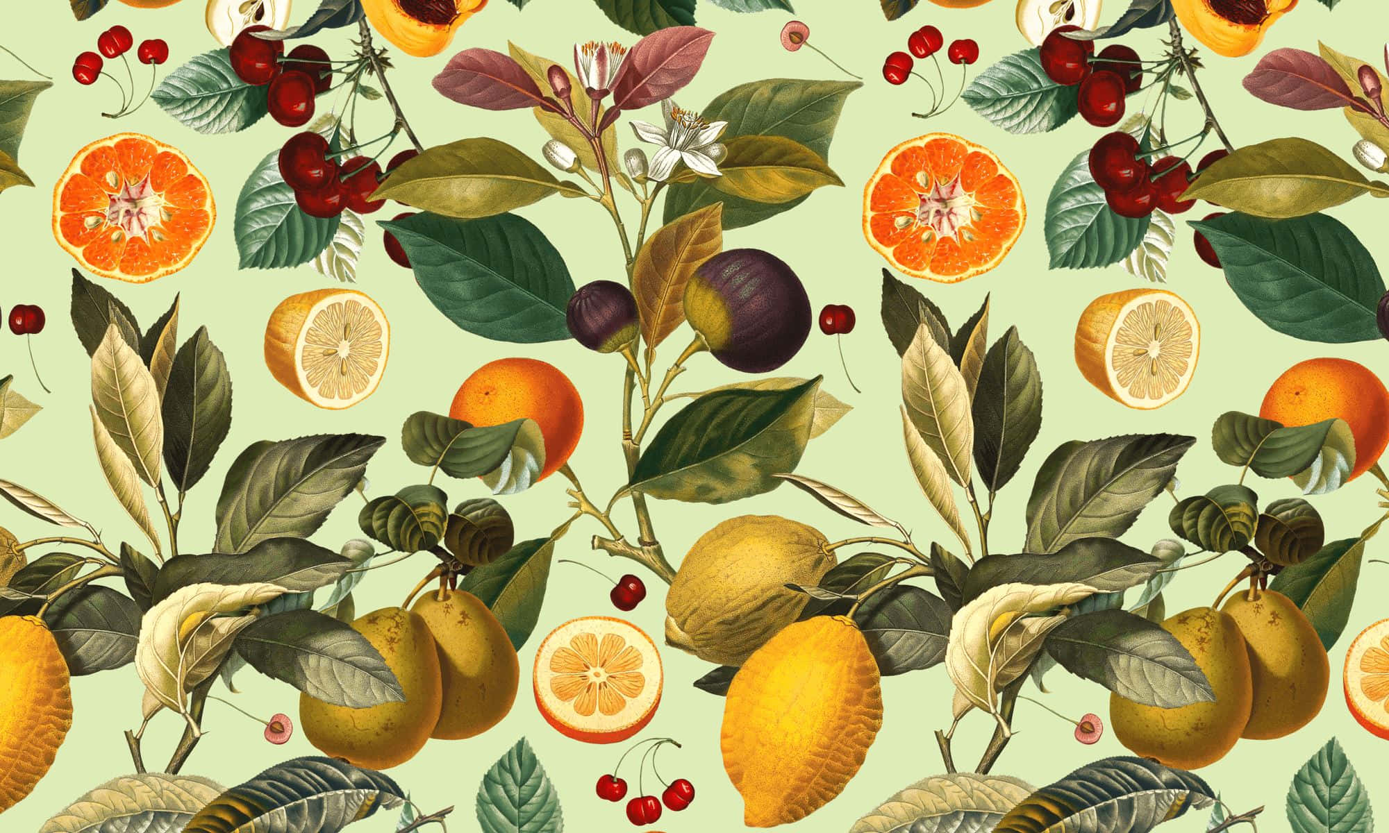 vintage citrus pattern, sliced oranges, lemons, Full HD Desktop Wallpaper