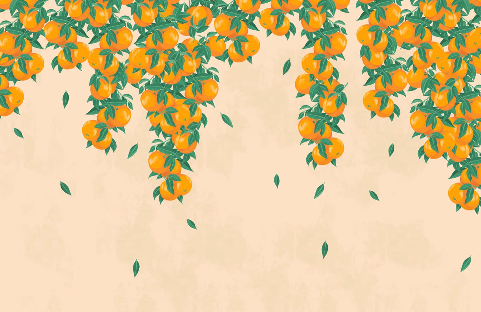 Cute Fruit Orange, vibrant orange, lush green clusters, HD Desktop Wallpaper