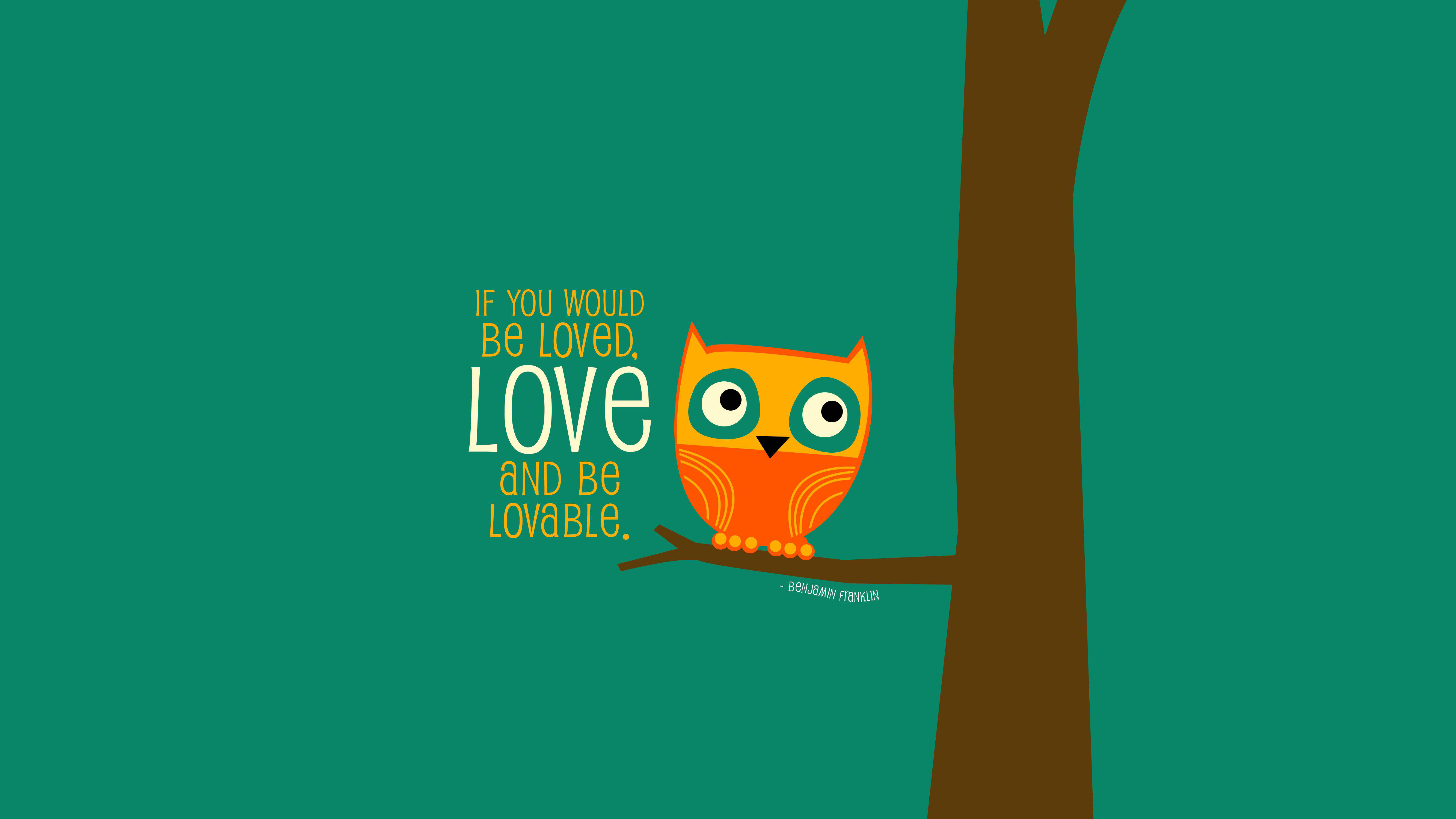 cute owl, bright orange, big eyes, 5K Desktop Wallpaper