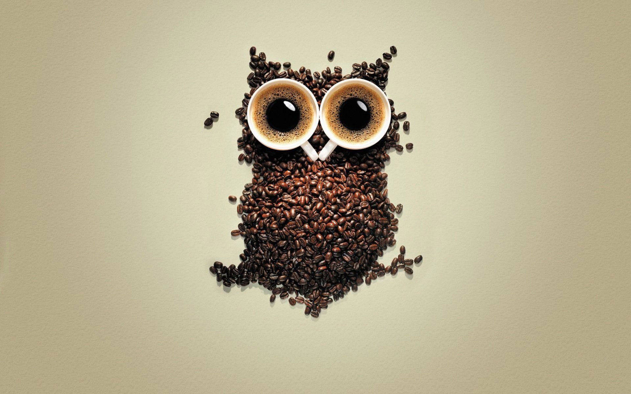 cute owl, coffee beans, coffee cups, Full HD Desktop Wallpaper