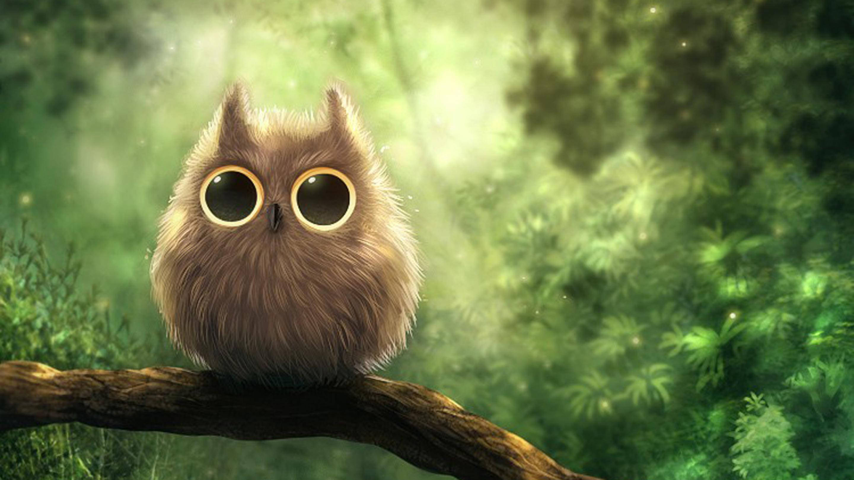 hairy cute owl, fluffy brown owl, huge round eyes, 2K Desktop Wallpaper