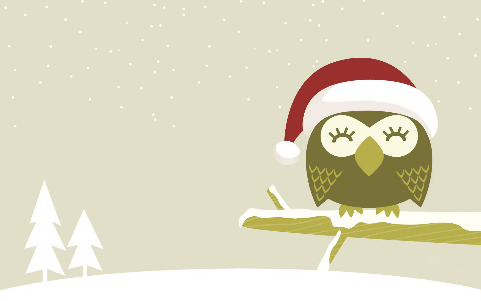 Cute Owl, Christmas Hat, red Santa hat, Full HD Desktop Wallpaper