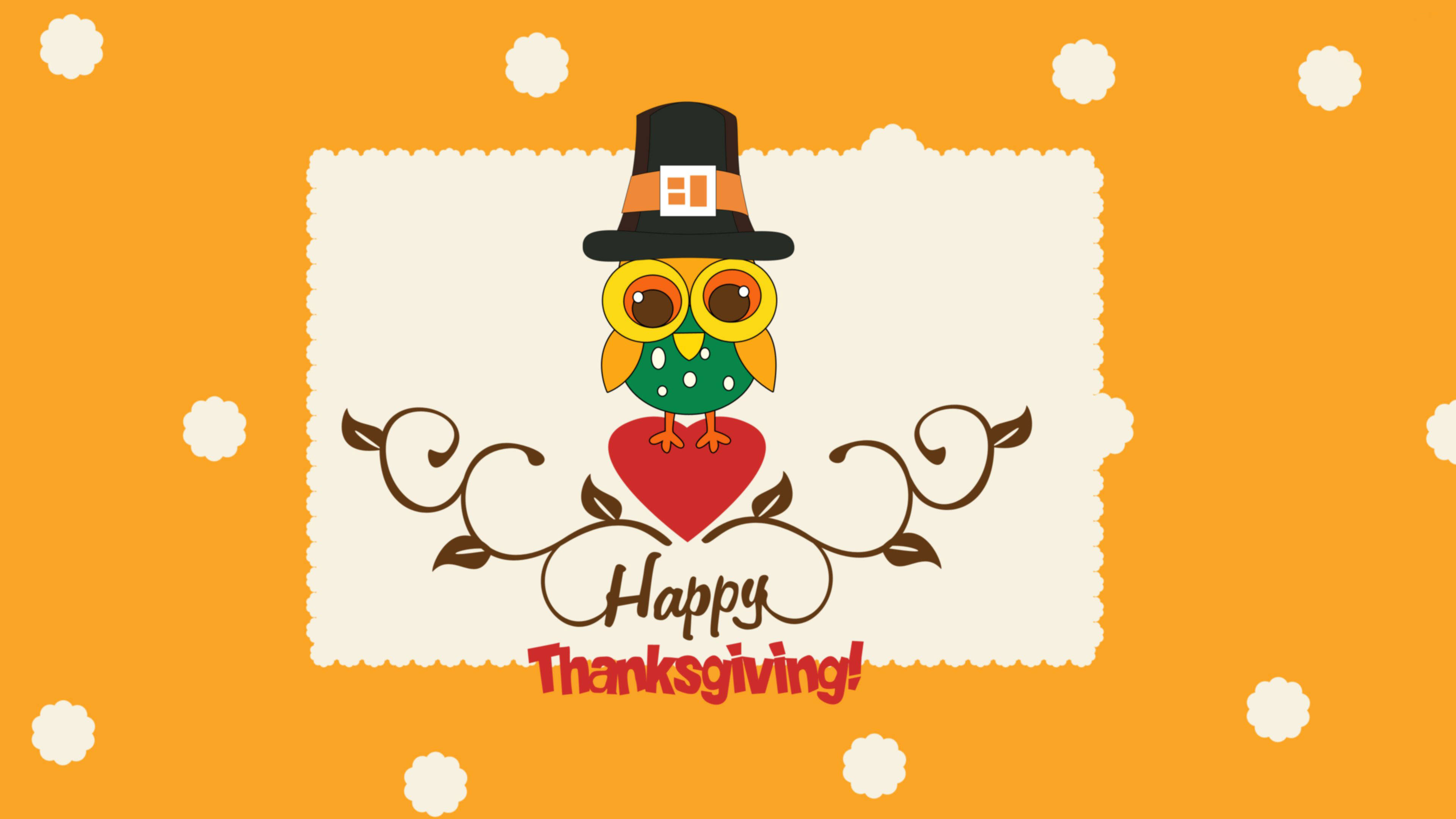 Cute Owl, Thanksgiving, pilgrim hat, 4K Desktop Wallpaper