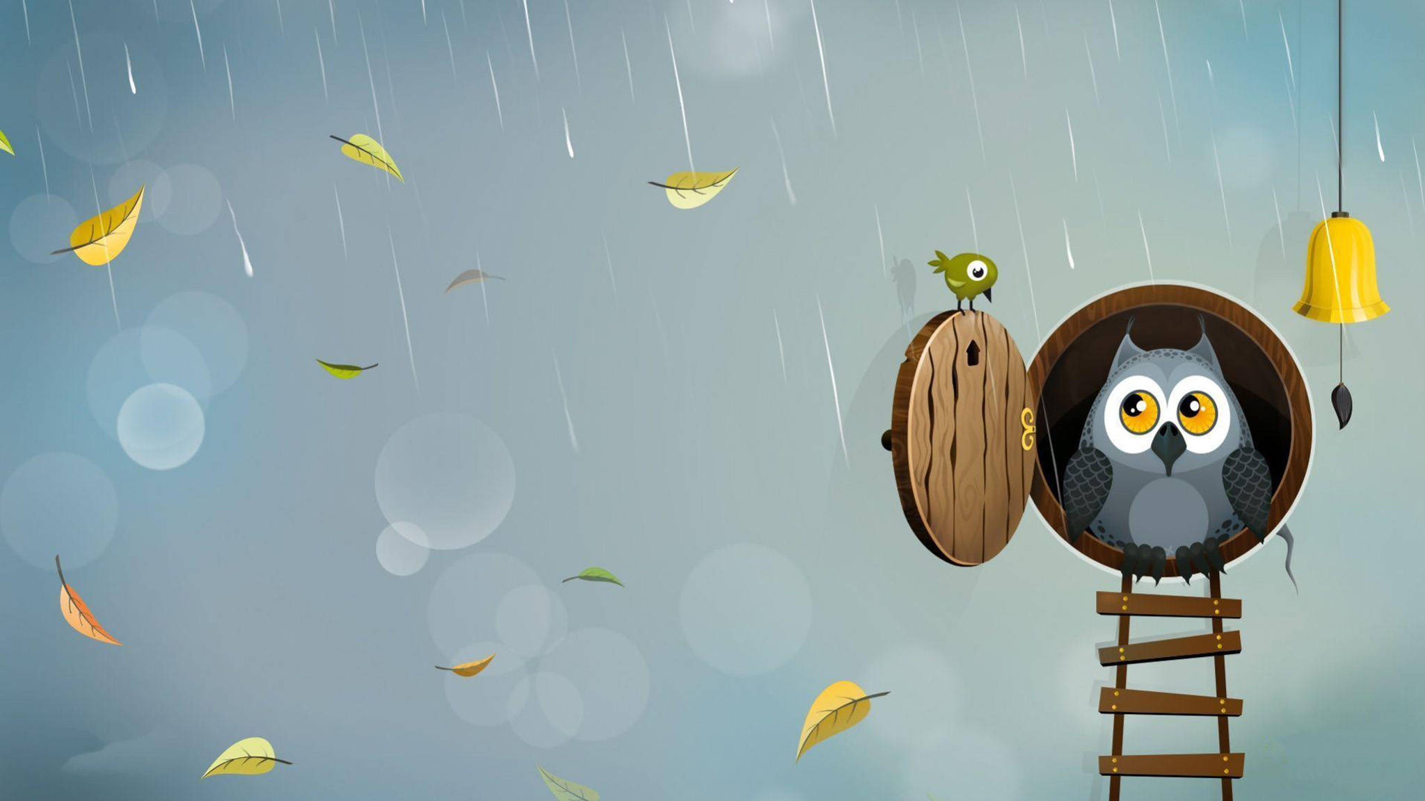 cute owl, wooden treehouse, rain, Full HD Desktop Wallpaper