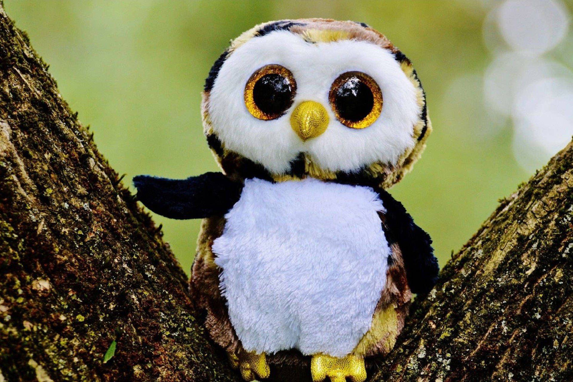 cute owl, plush owl toy, glittery eyes, Full HD Desktop Wallpaper