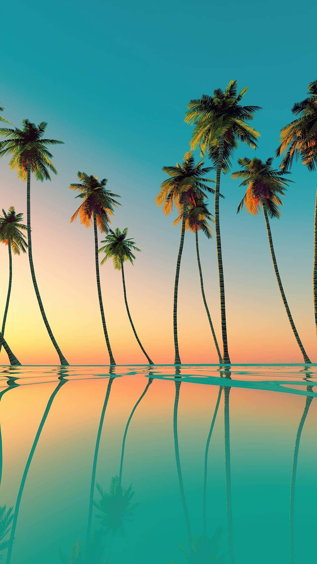 palm trees, calm turquoise water, vibrant sunset sky, Full HD Phone Wallpaper