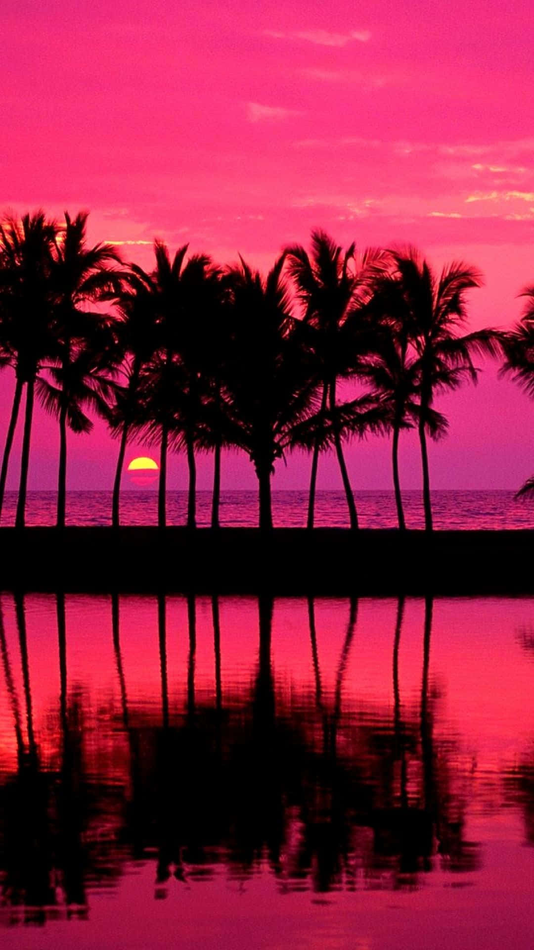 palm tree, beach setting, vivid pink sunset sky, Full HD Phone Wallpaper