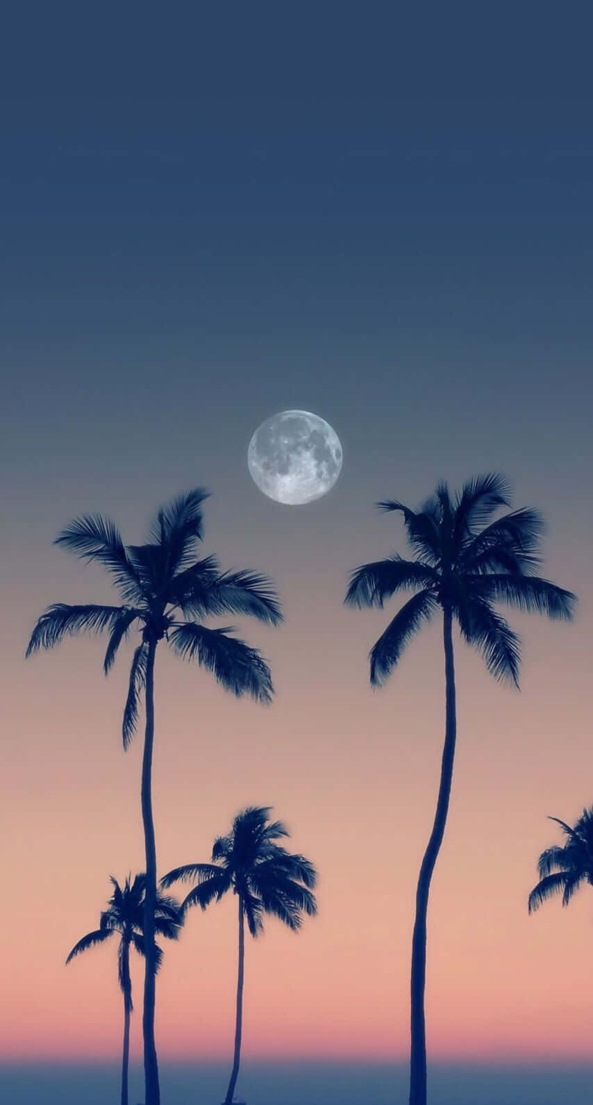 Cute Palm Tree, luminous full moon, twilight sky, HD Phone Wallpaper