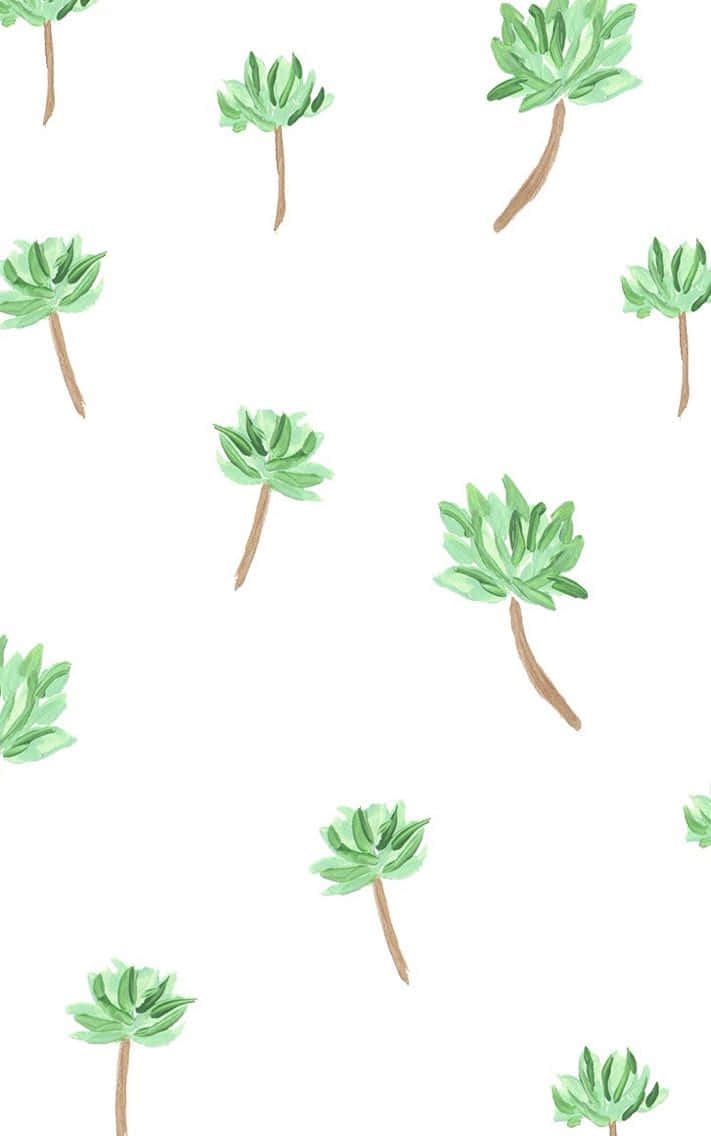 cute palm tree, tropical palm tree, paradise, SD Phone Wallpaper