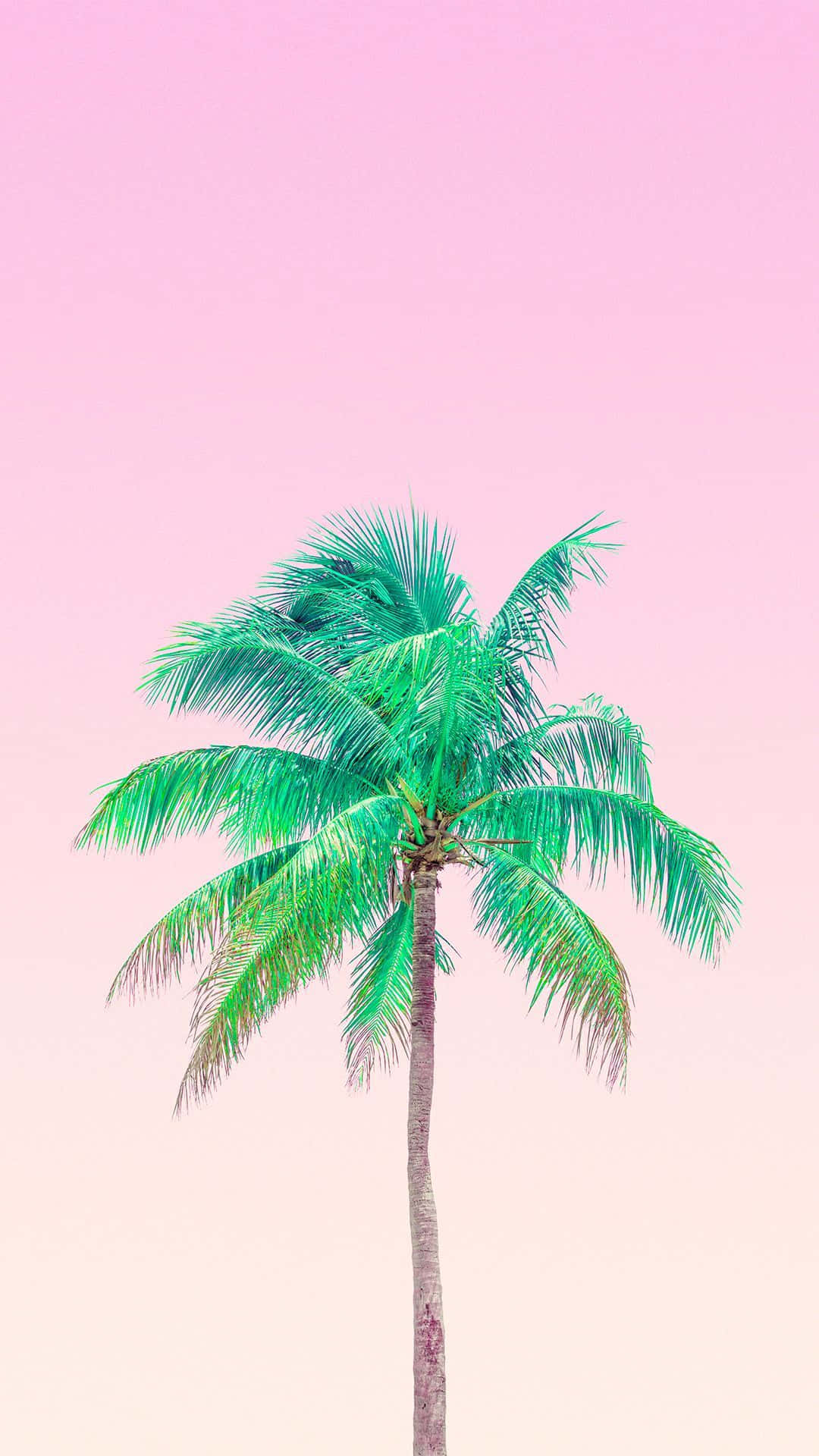 cute palm tree, tropical beach, vibrant green, Full HD Phone Wallpaper