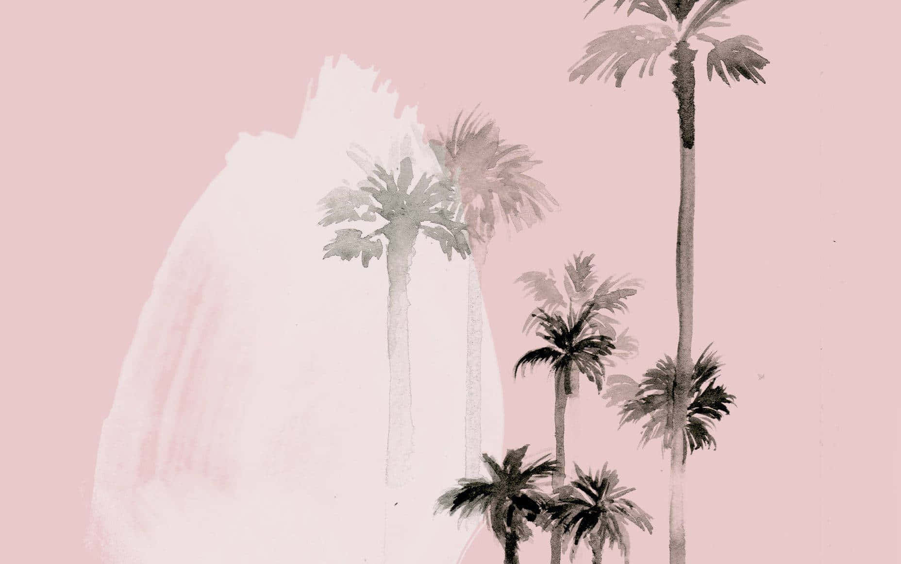 California aesthetic, palm trees, pink background, HD Desktop Wallpaper