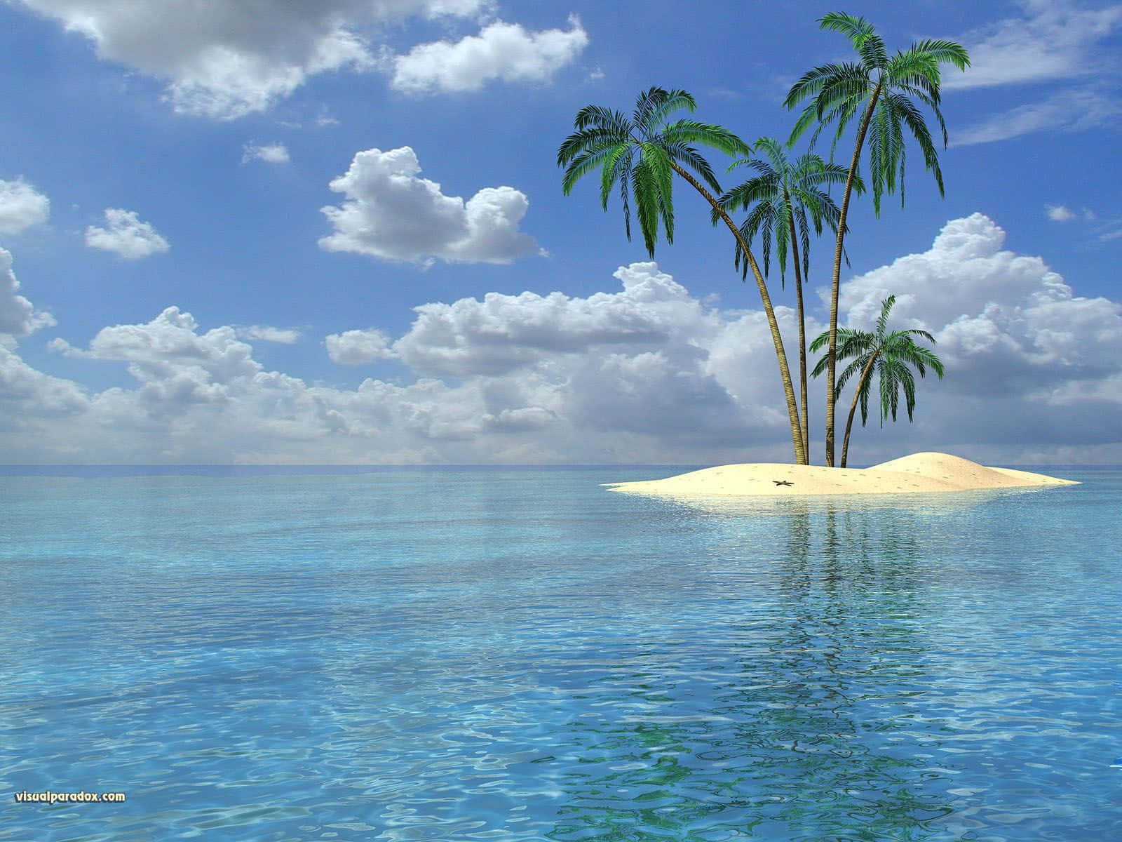 Cute Palm Tree, tropical island, three palm trees, HD Desktop Wallpaper