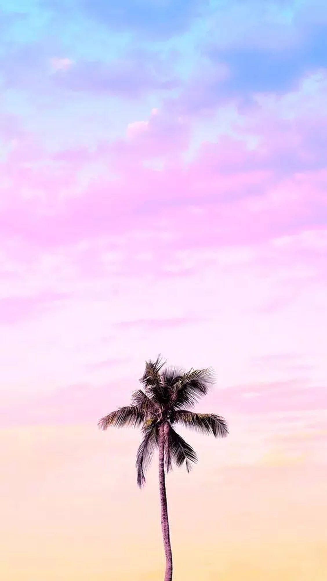 palm tree, pastel sky, pink, Full HD Phone Wallpaper