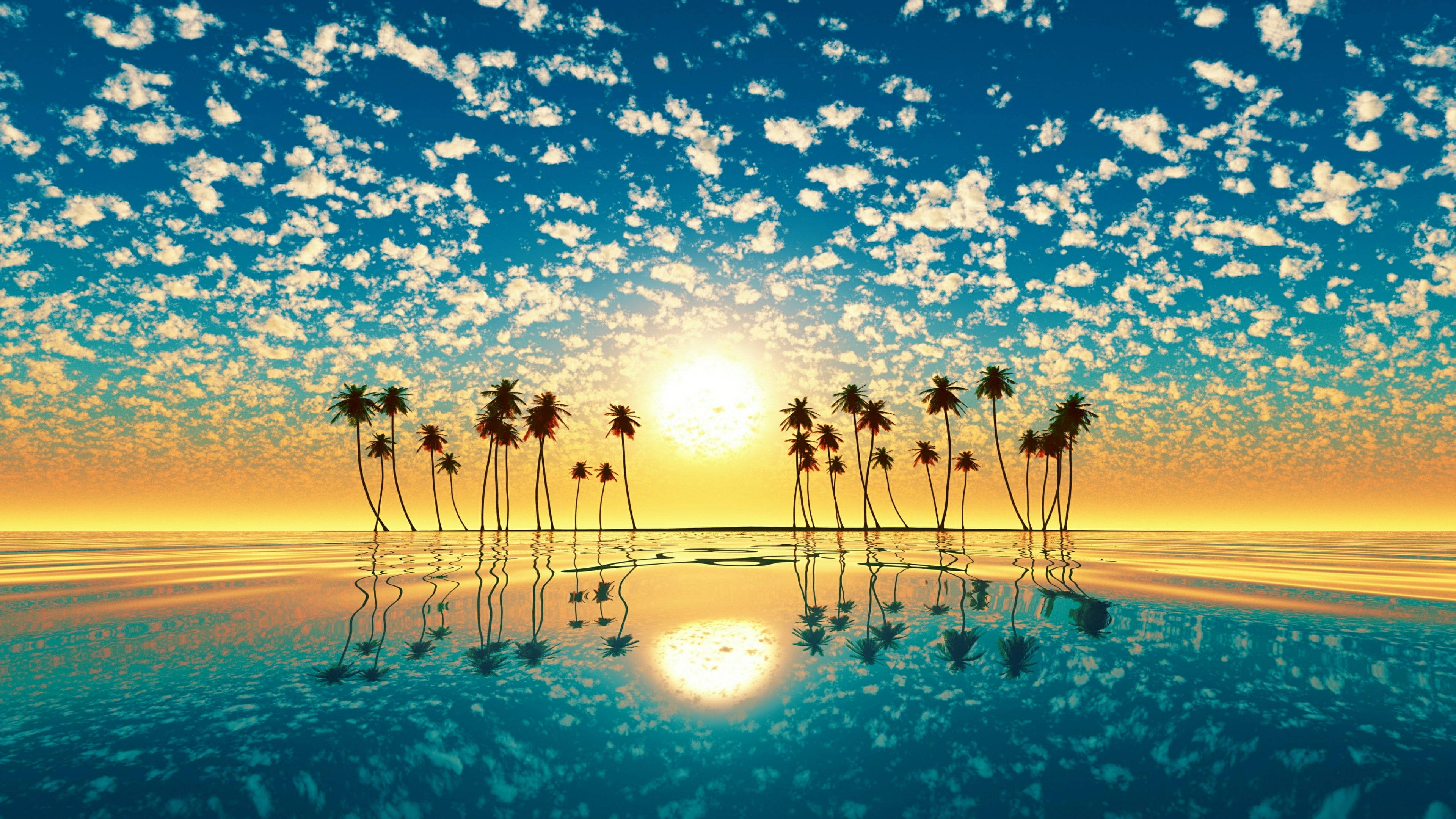 palm tree, sunset, calm water, 4K Desktop Wallpaper
