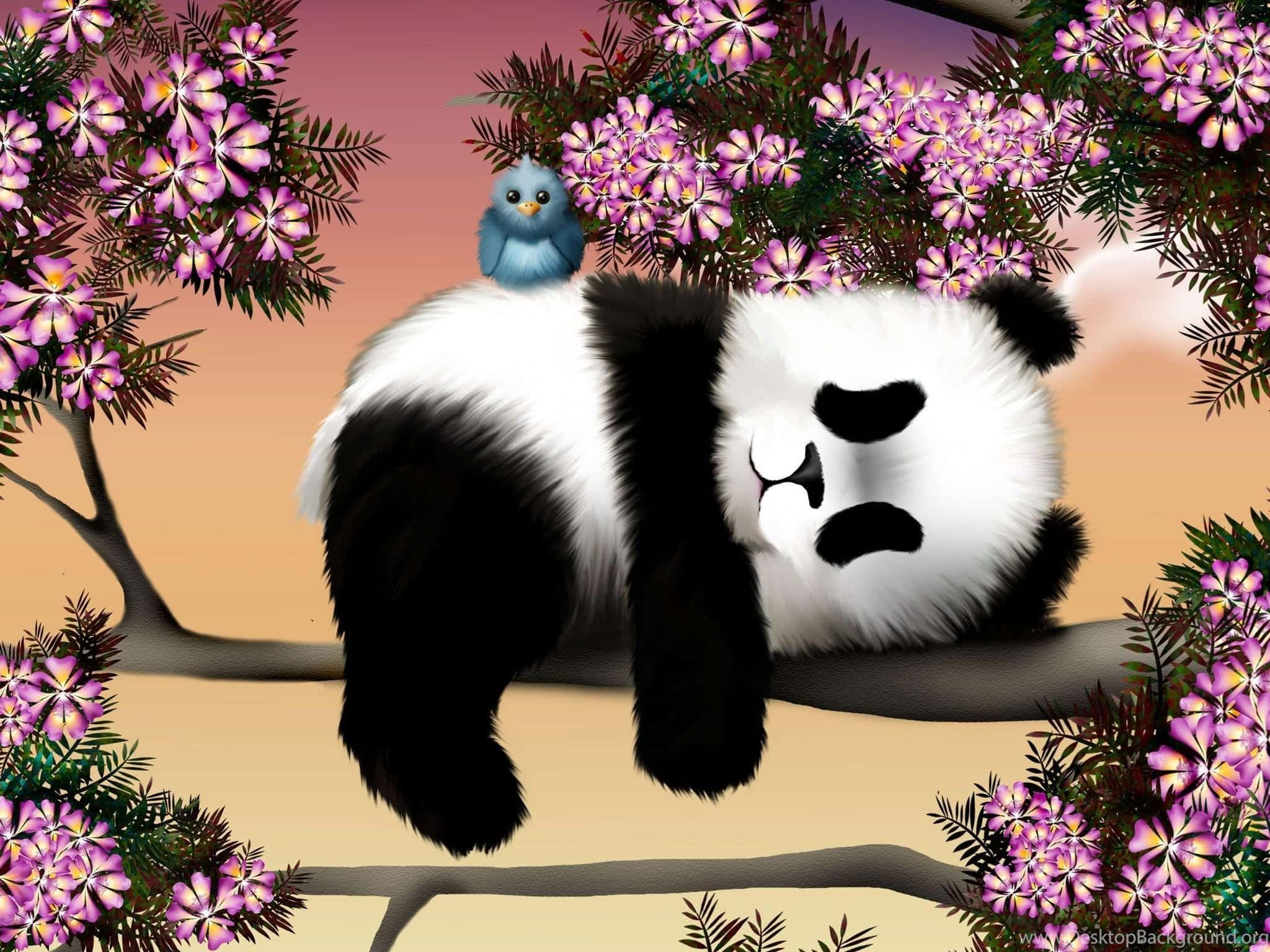 panda laptop, fluffy panda, tree branch, Full HD Desktop Wallpaper