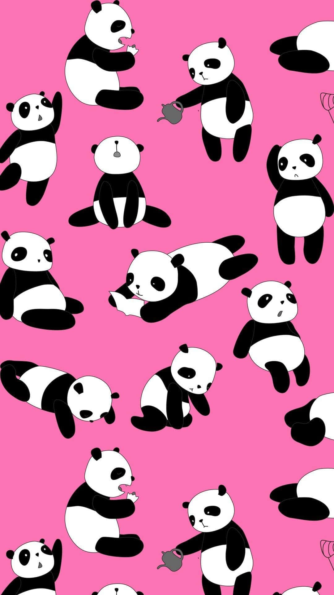 Cute Cartoon Panda, pink background, black and white pandas, Full HD Phone Wallpaper