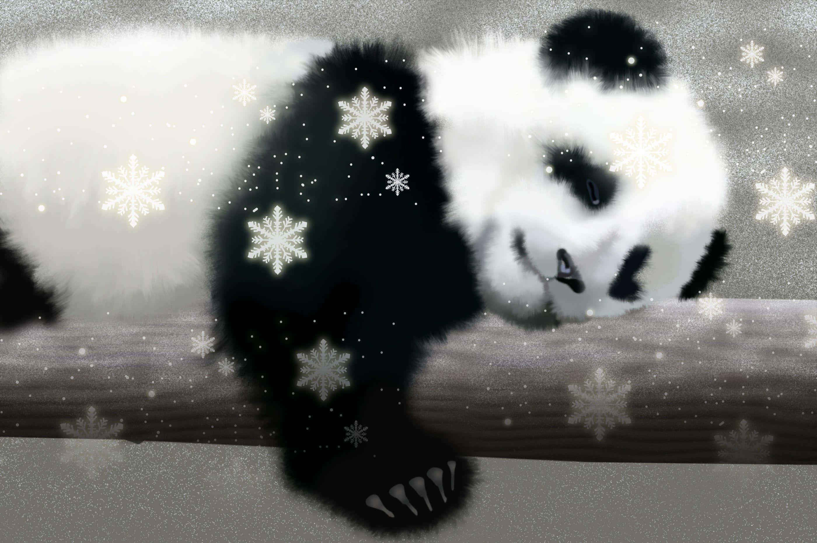 panda laptop, snowflakes design, fluffy panda, 2K Desktop Wallpaper