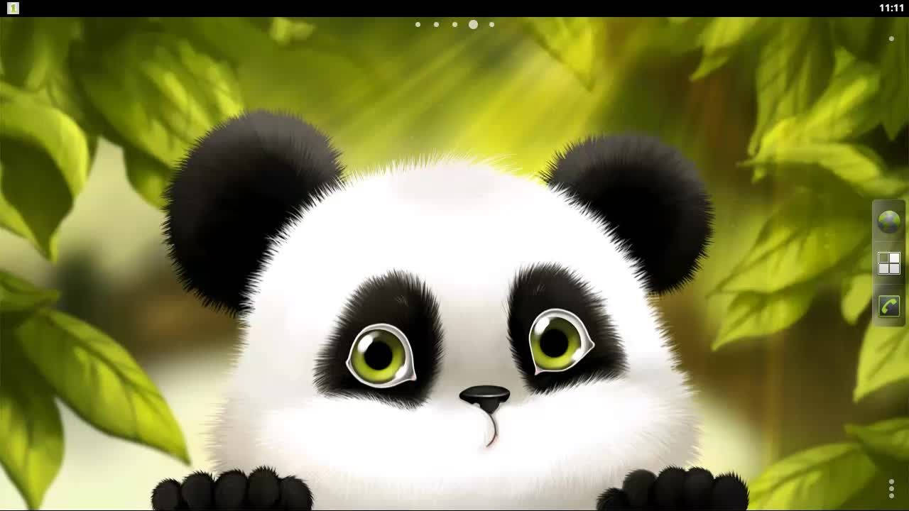 cute panda, green eyes, lush green leaves, HD Desktop Wallpaper