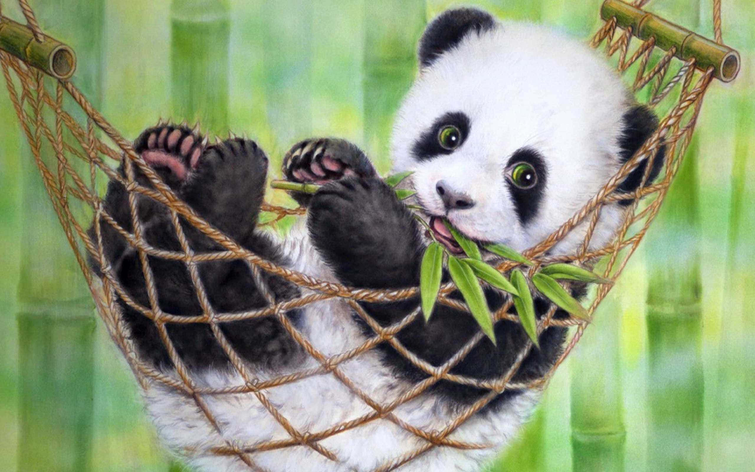 panda cub, rope hammock, bamboo forest, 2K Desktop Wallpaper