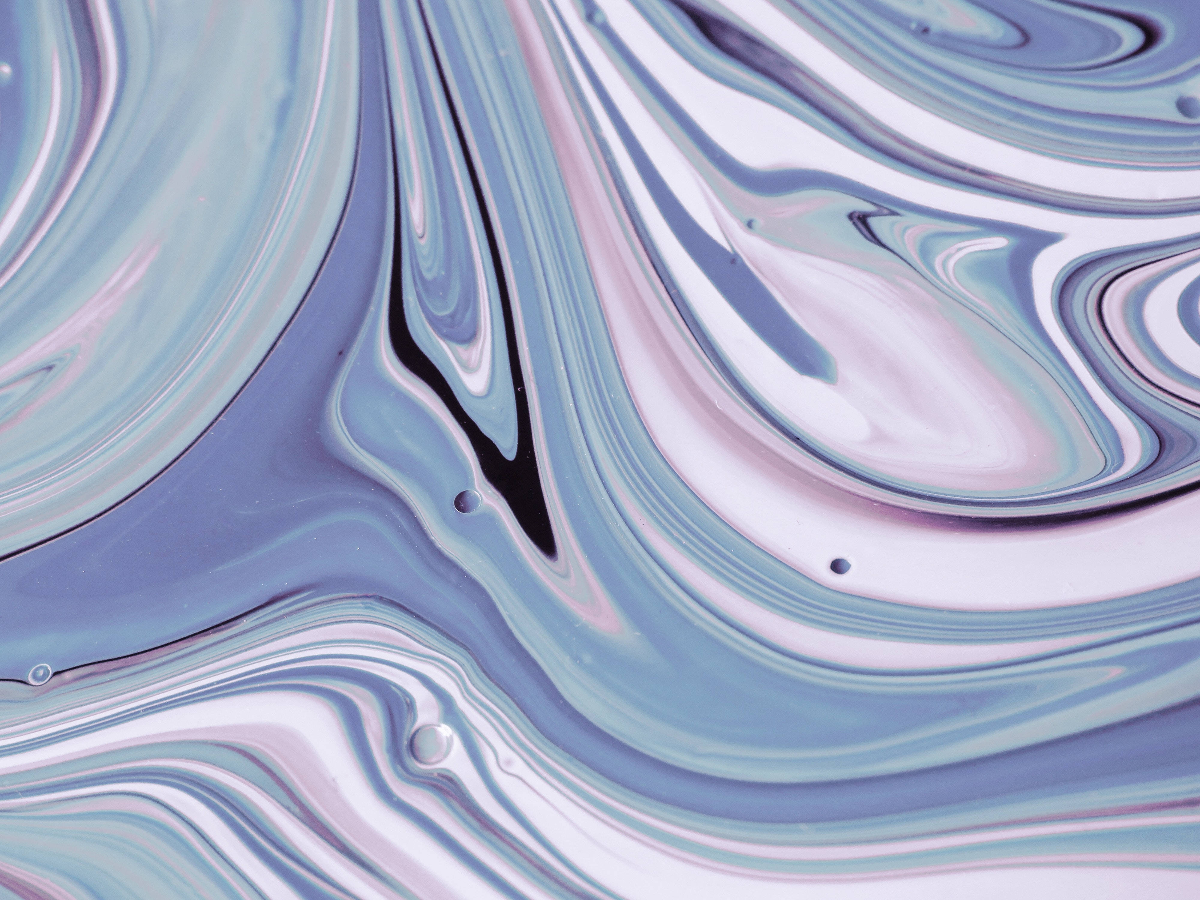 lavender blue, white, black, 4K Desktop Wallpaper