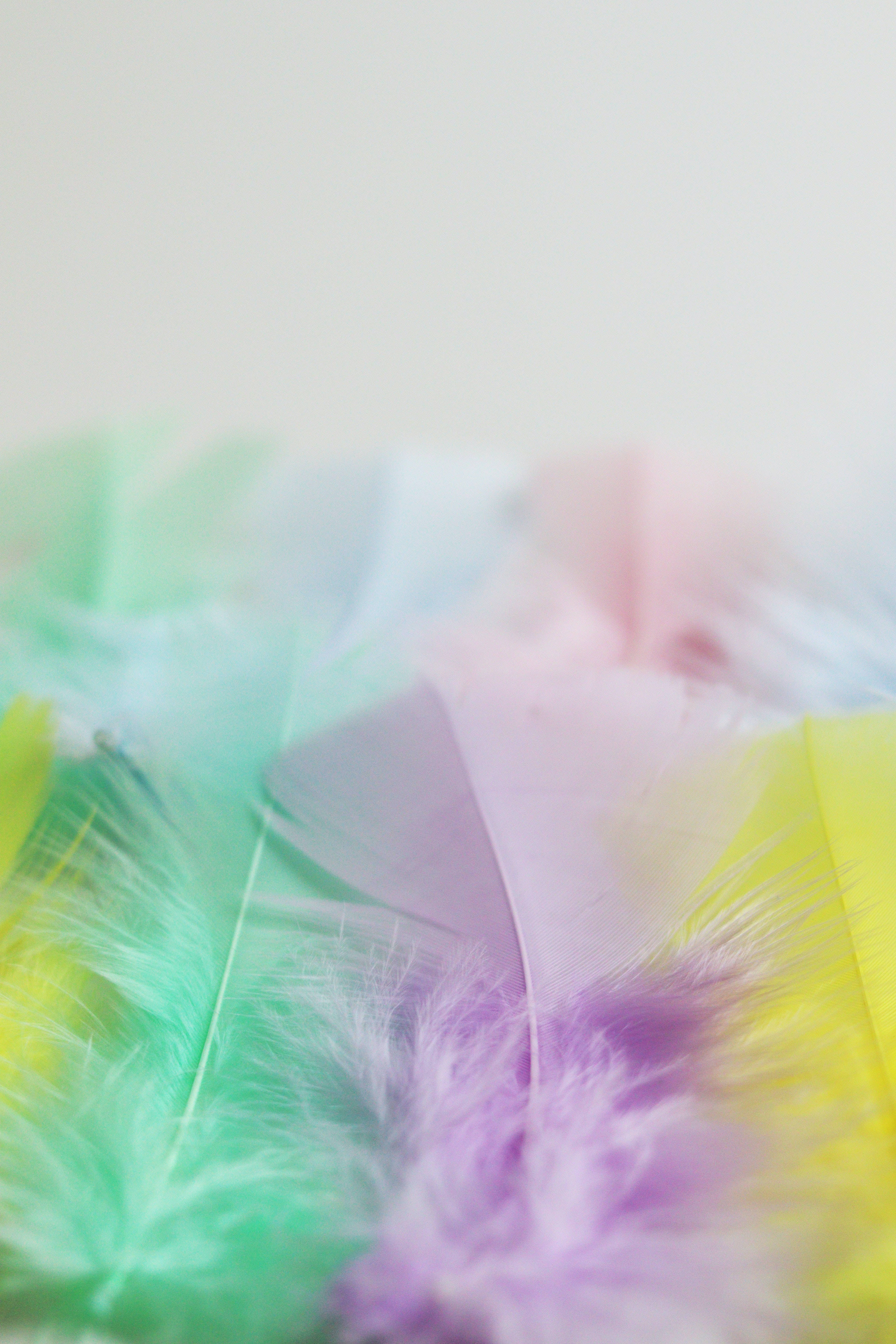 cute pastel aesthetic, multicolored feathers, mint green, 5K Phone Wallpaper