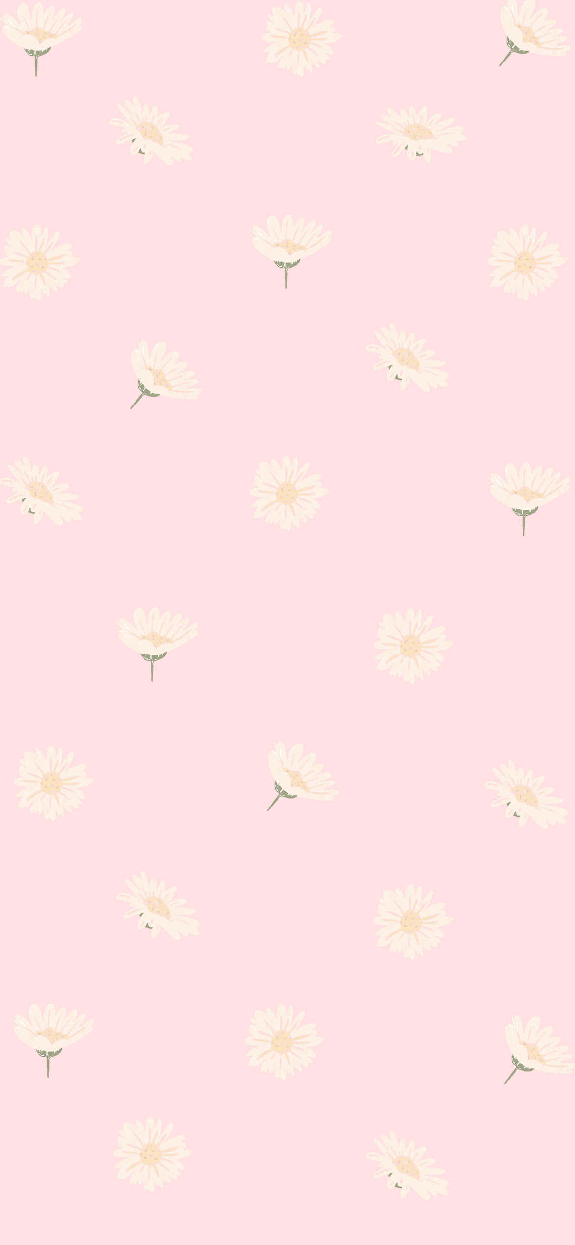 pastel pink, floral pattern, white daisies, Full HD Phone Wallpaper
