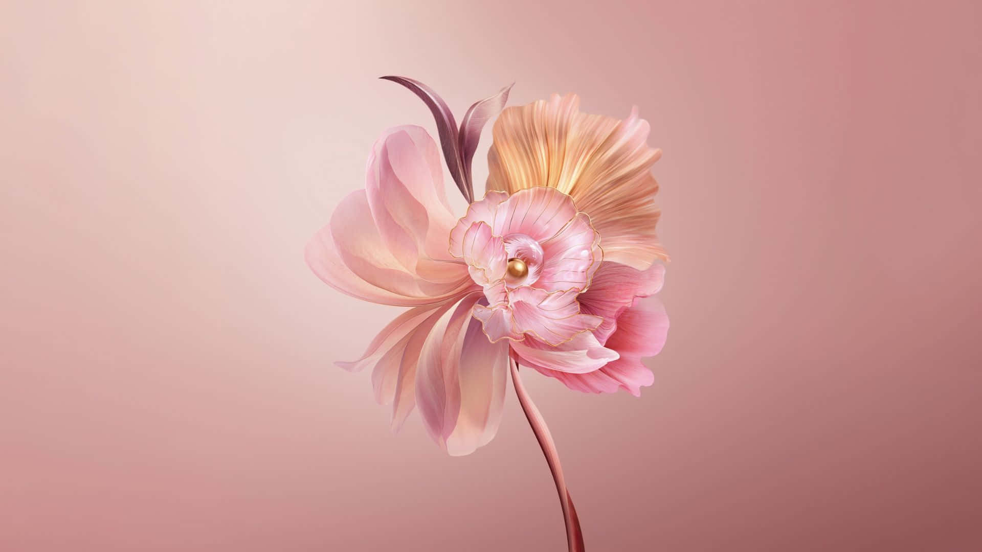 Delicate Pastel Spring Flower, pink and peach flower, layered translucent petals, Full HD Desktop Wallpaper