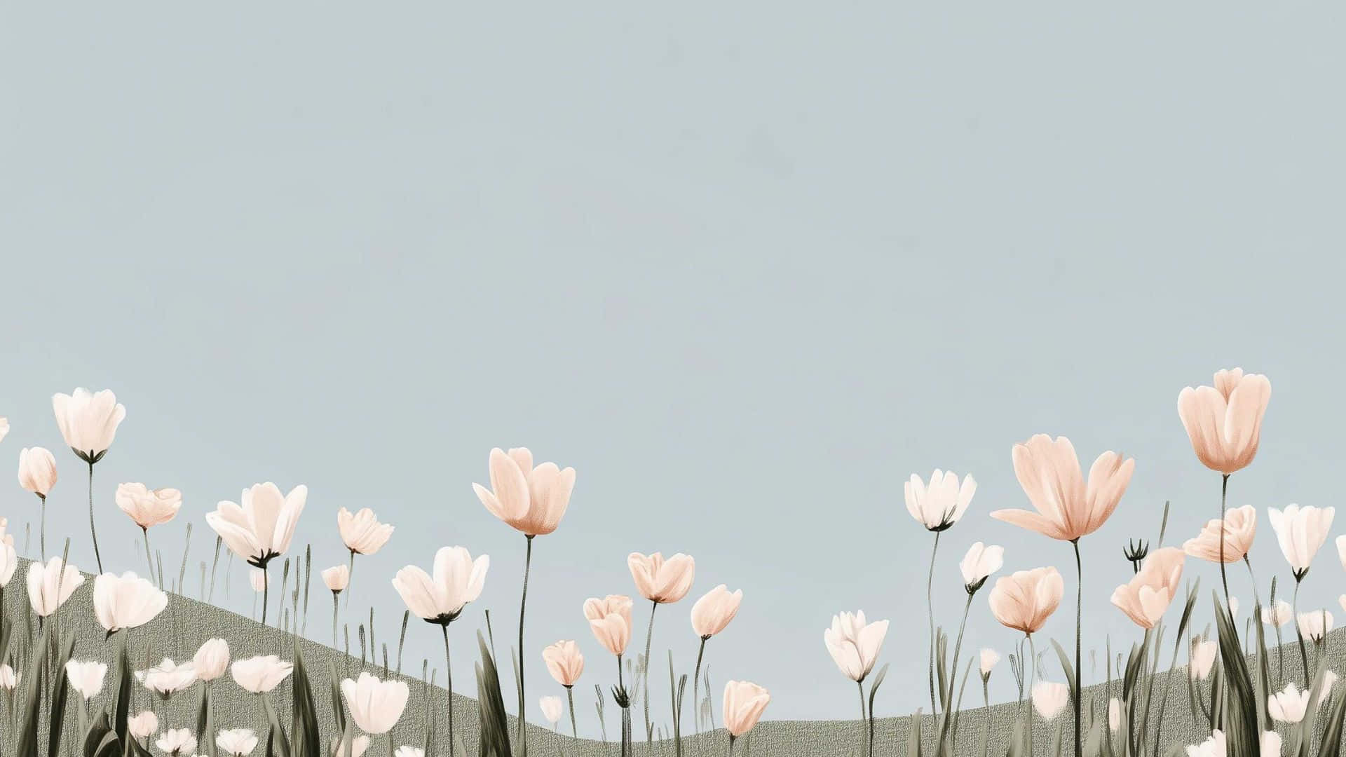 pastel spring flowers, soft pink, white tulips, Full HD Desktop Wallpaper
