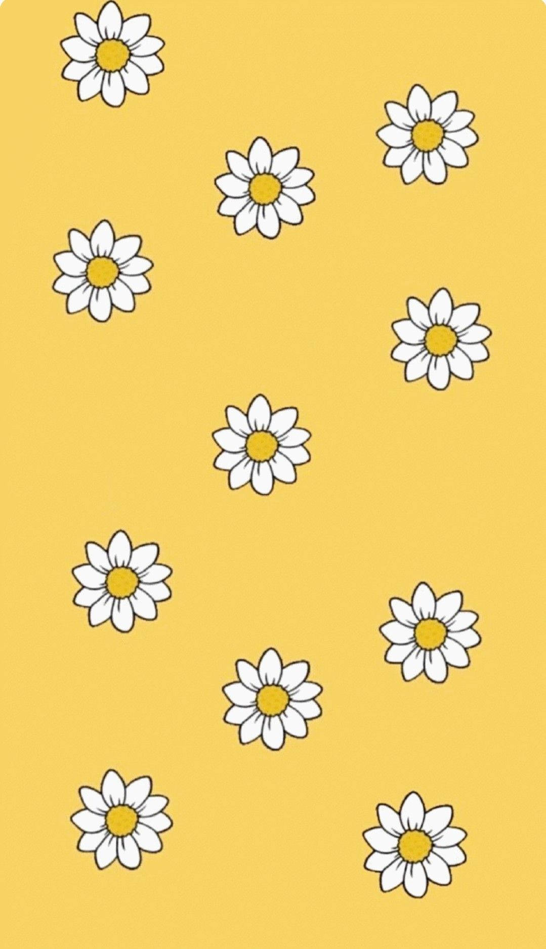 Cute Pastel Yellow Aesthetic, daisy, mustard yellow, HD Phone Wallpaper