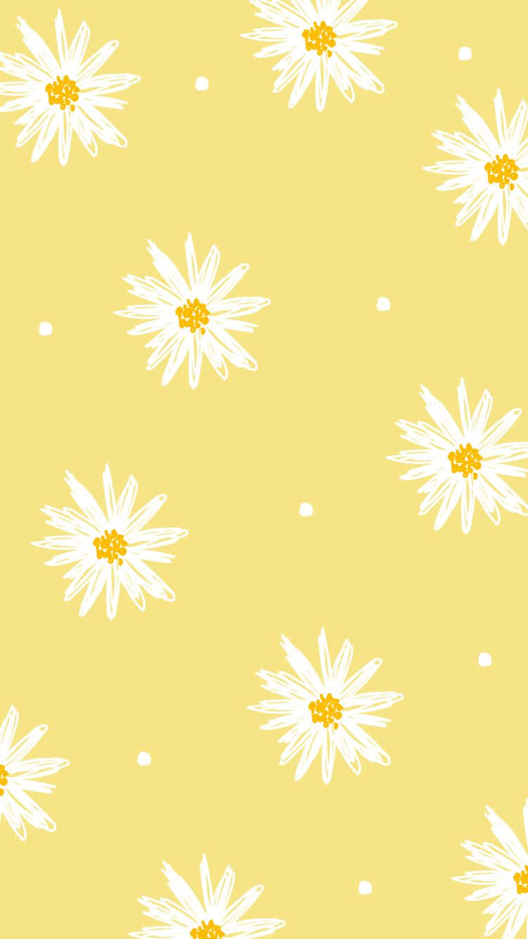 cute pastel yellow daisy flower, white daisies, yellow centers, HD Phone Wallpaper