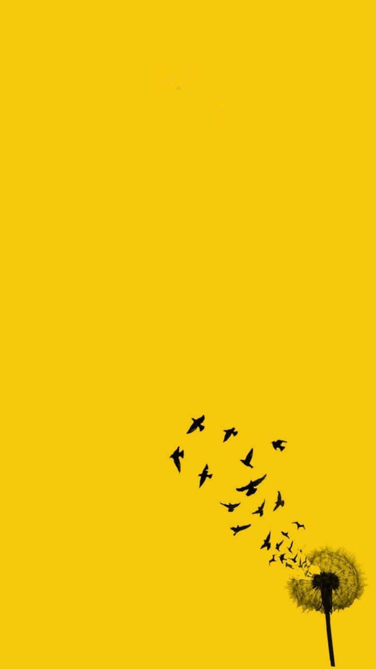 pastel yellow, dandelion seed head, birds, HD Phone Wallpaper
