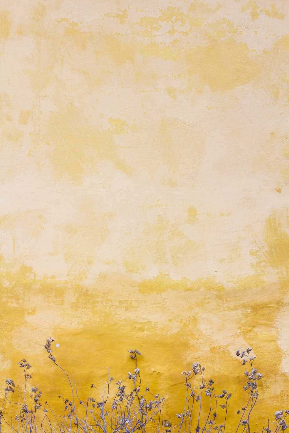 pastel yellow, faded wall, textured wall, HD Phone Wallpaper
