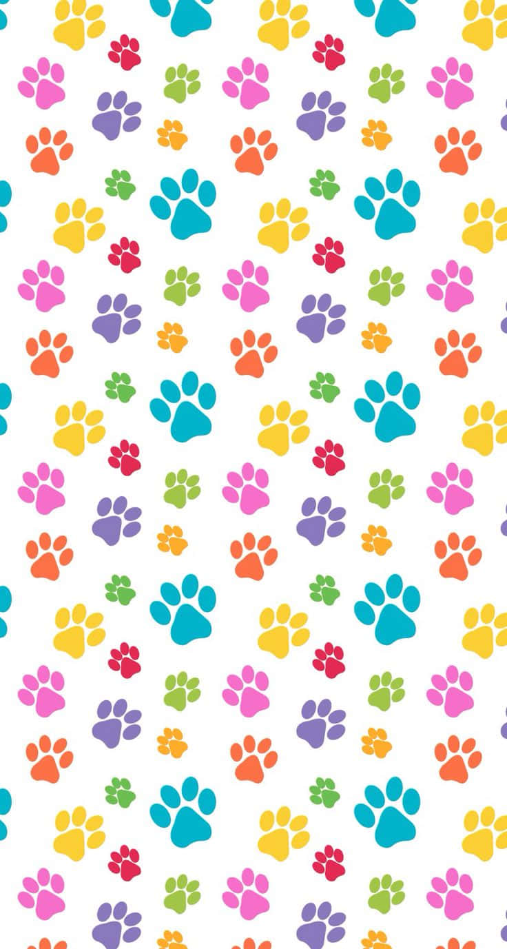Cute Colorful Paw Prints Pattern, vibrant multicolored paw prints, clean white background, HD Phone Wallpaper