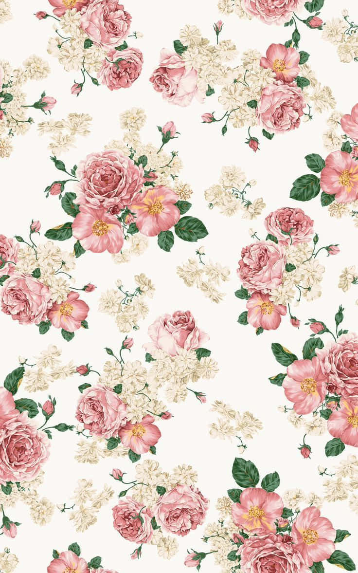 soft pink roses, creamy white blossoms, green leaves, SD Phone Wallpaper