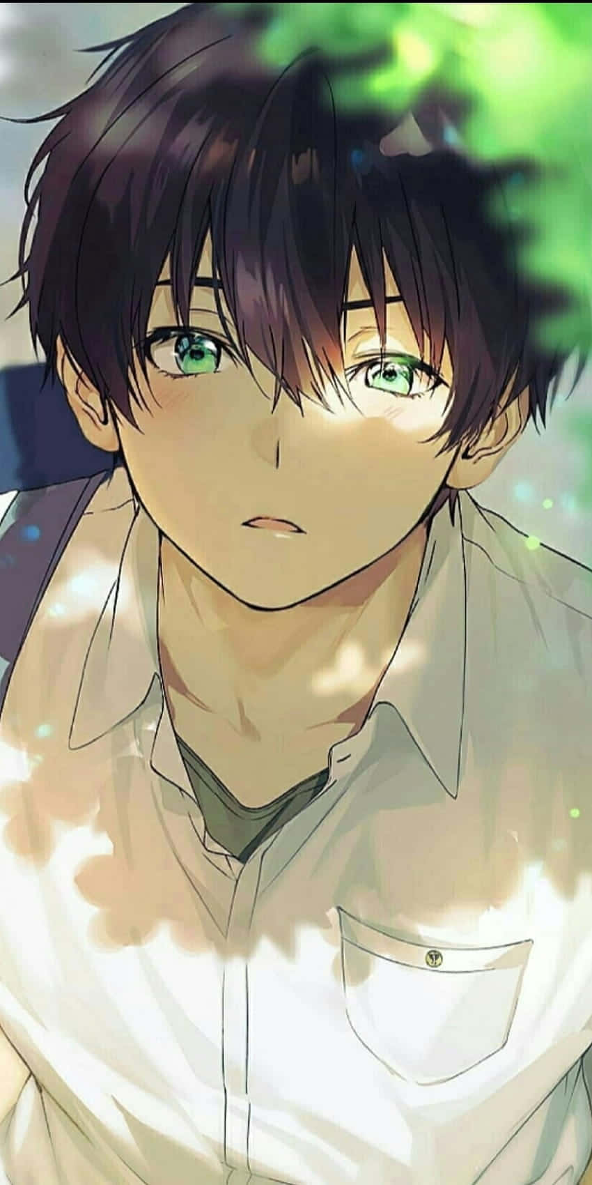 anime boy, dark hair, vivid green eyes, HD Phone Wallpaper