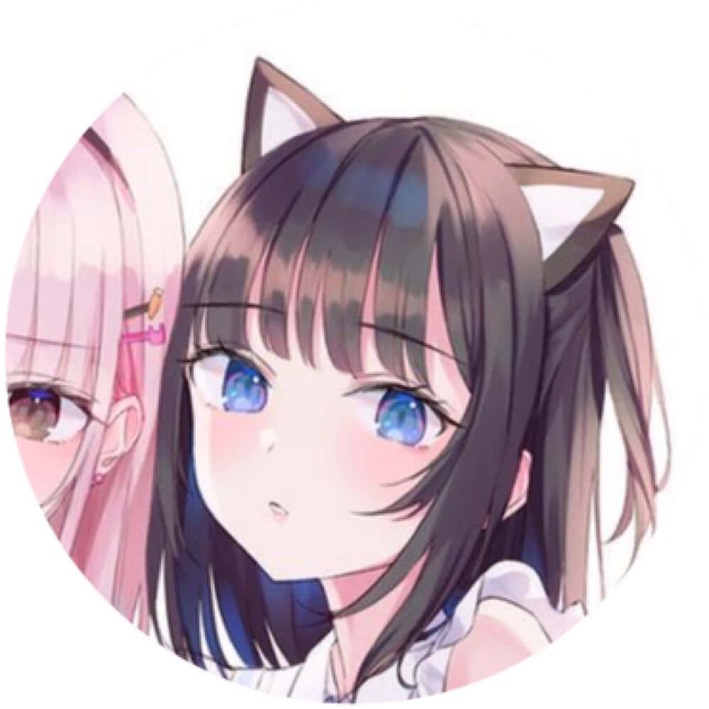 anime girls, cat ears, dark hair, SD Desktop Wallpaper