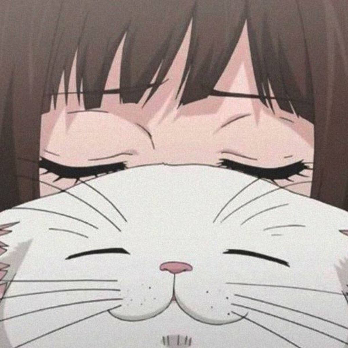 anime girl, white cat, smiling, SD Desktop Wallpaper